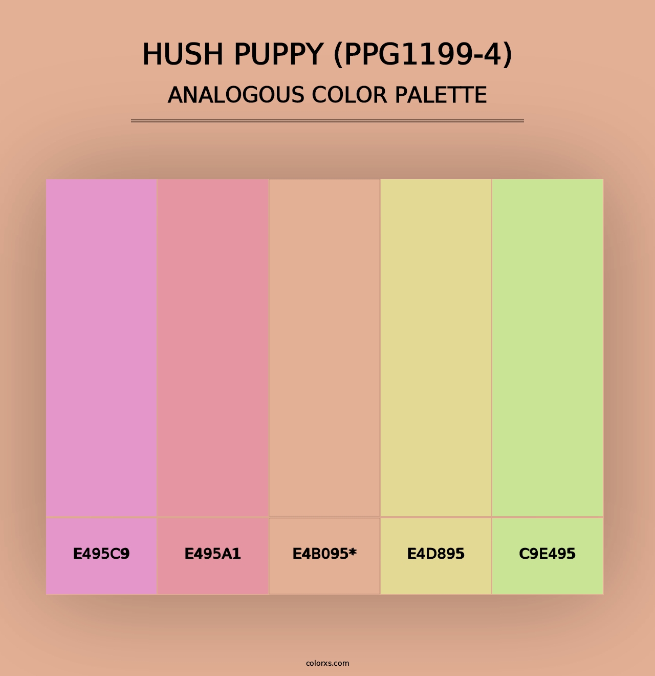 Hush Puppy (PPG1199-4) - Analogous Color Palette