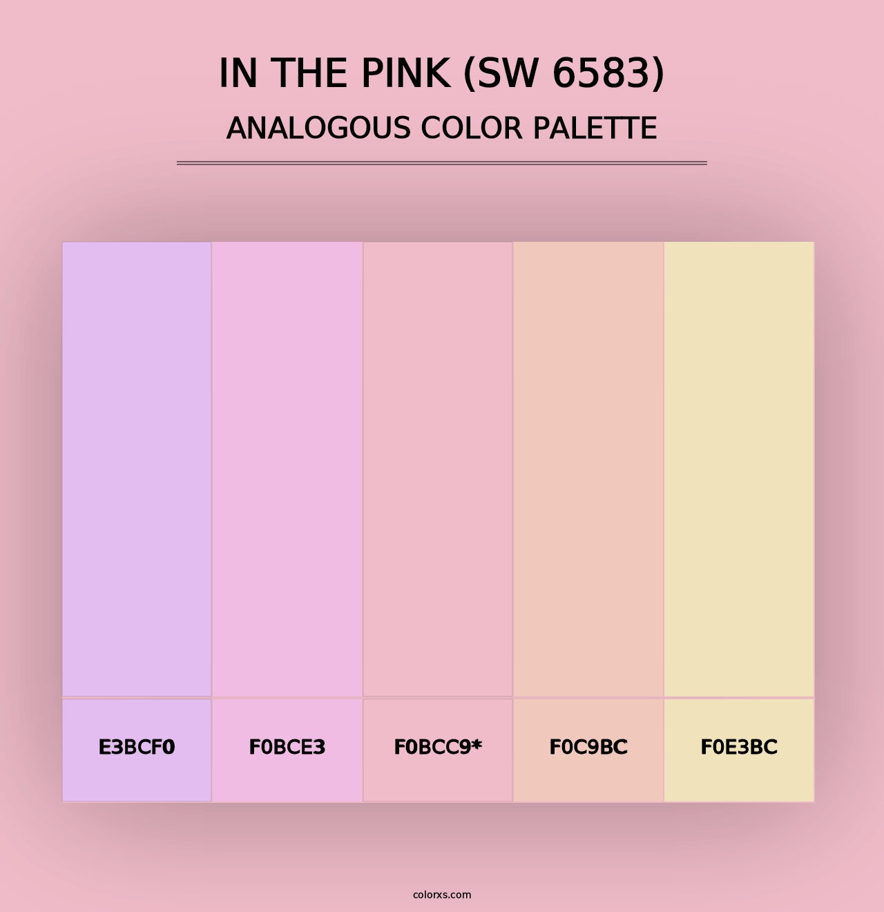 In the Pink (SW 6583) - Analogous Color Palette