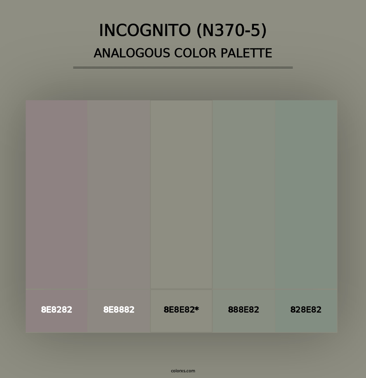 Incognito (N370-5) - Analogous Color Palette