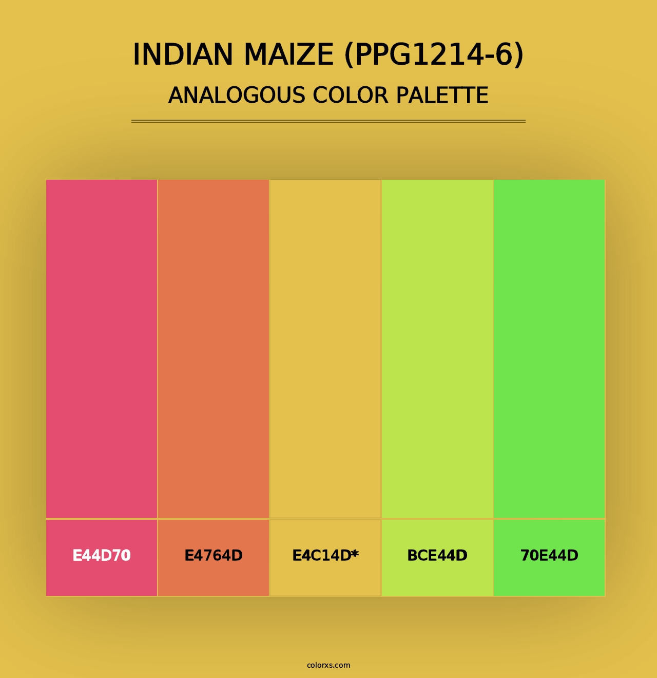 Indian Maize (PPG1214-6) - Analogous Color Palette