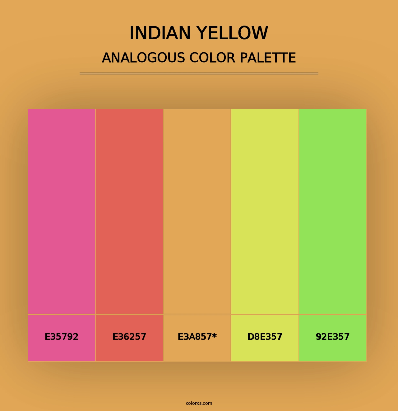 Indian Yellow - Analogous Color Palette