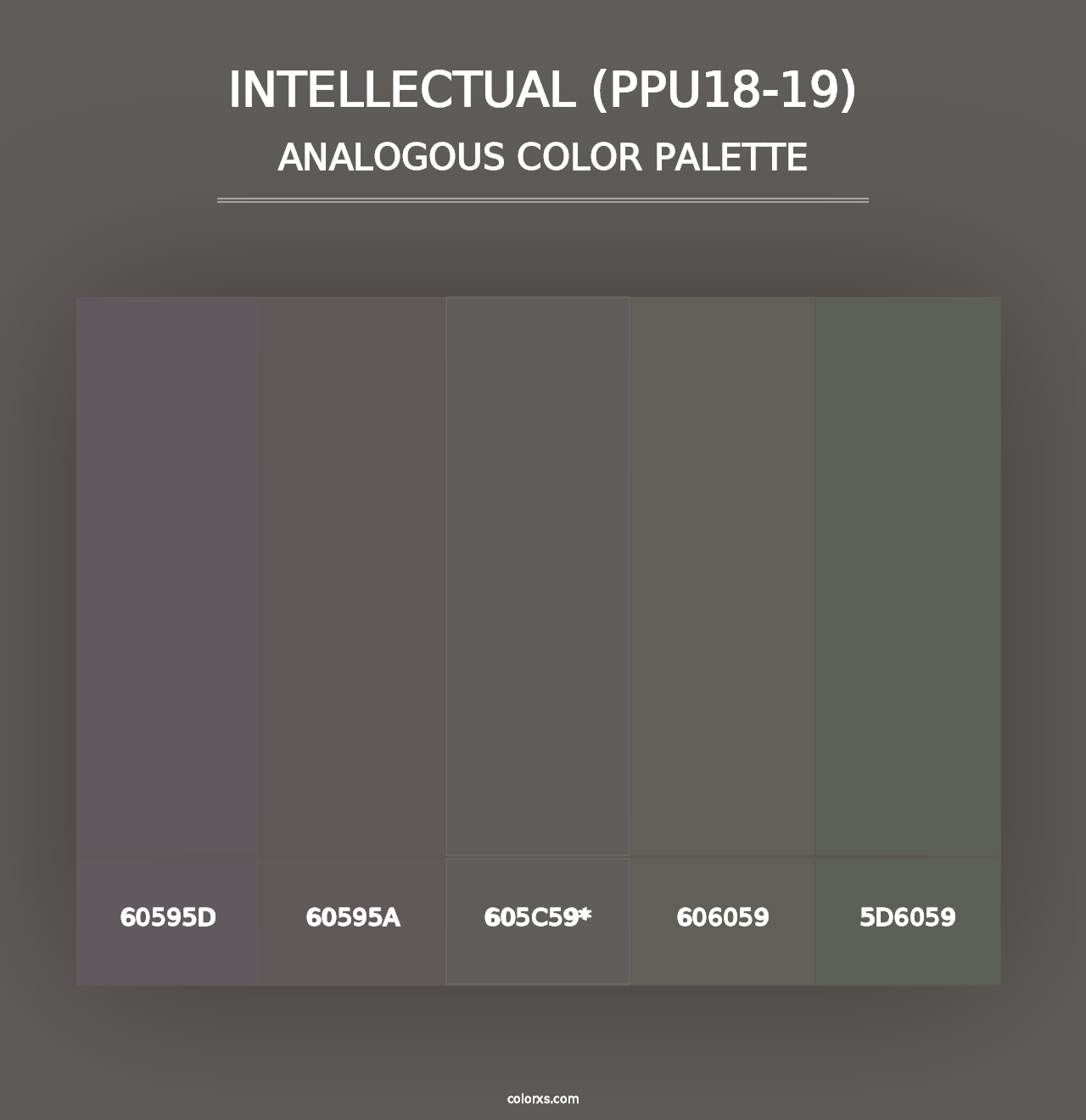 Intellectual (PPU18-19) - Analogous Color Palette