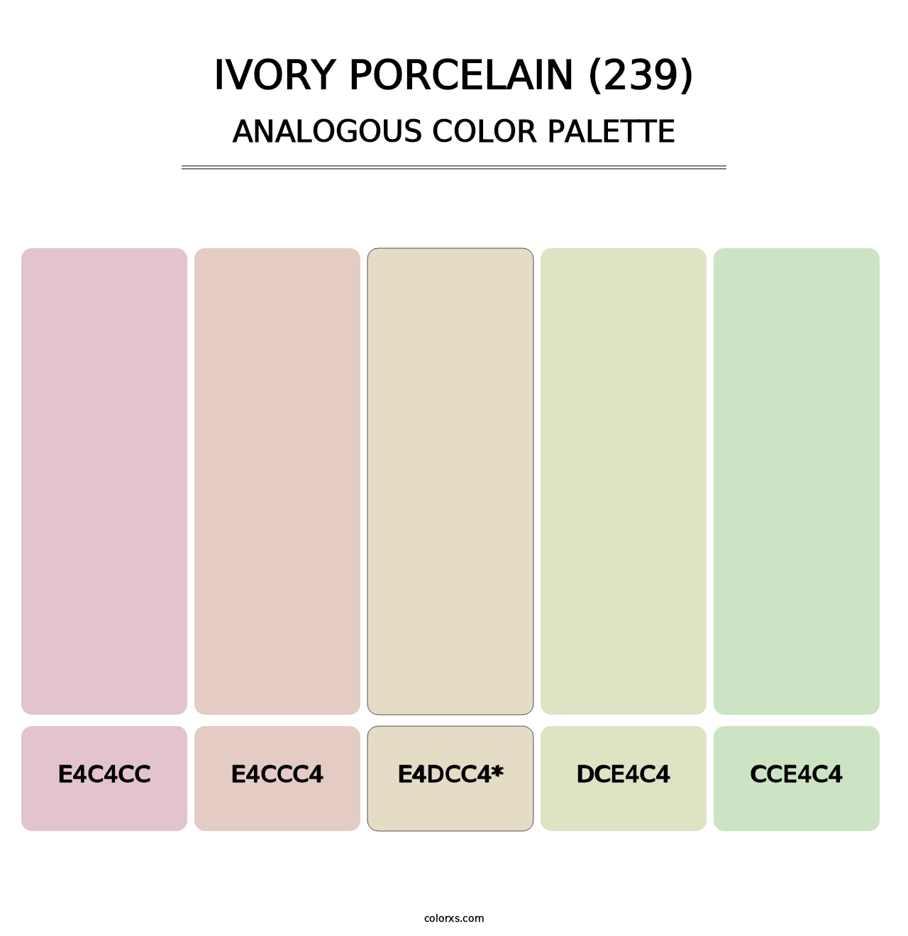 Ivory Porcelain (239) - Analogous Color Palette