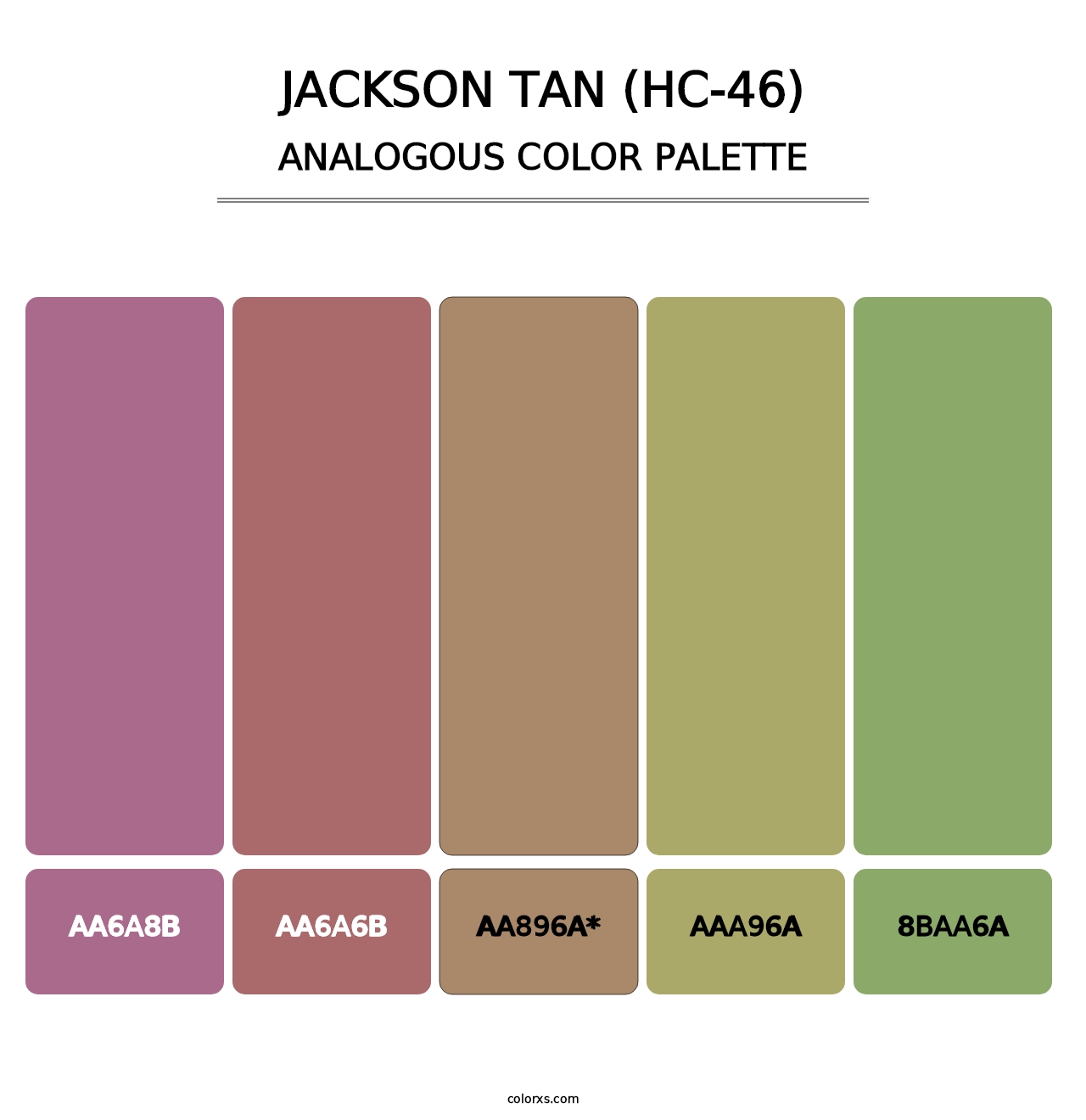 Jackson Tan (HC-46) - Analogous Color Palette