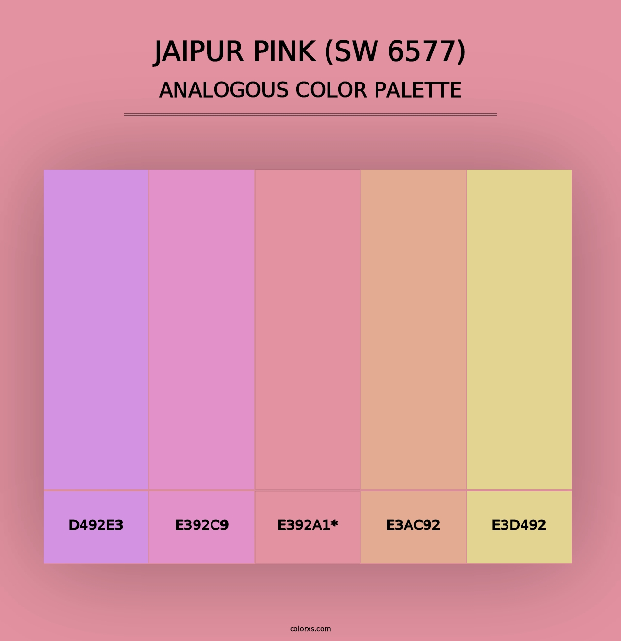 Jaipur Pink (SW 6577) - Analogous Color Palette