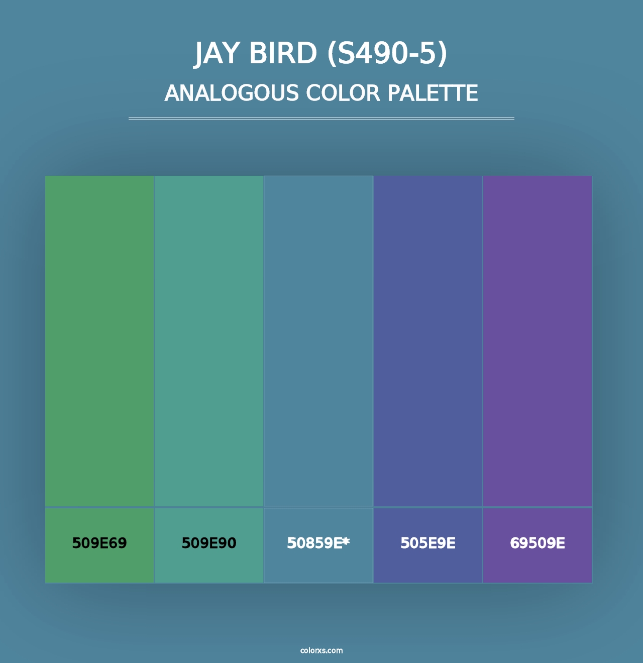 Jay Bird (S490-5) - Analogous Color Palette