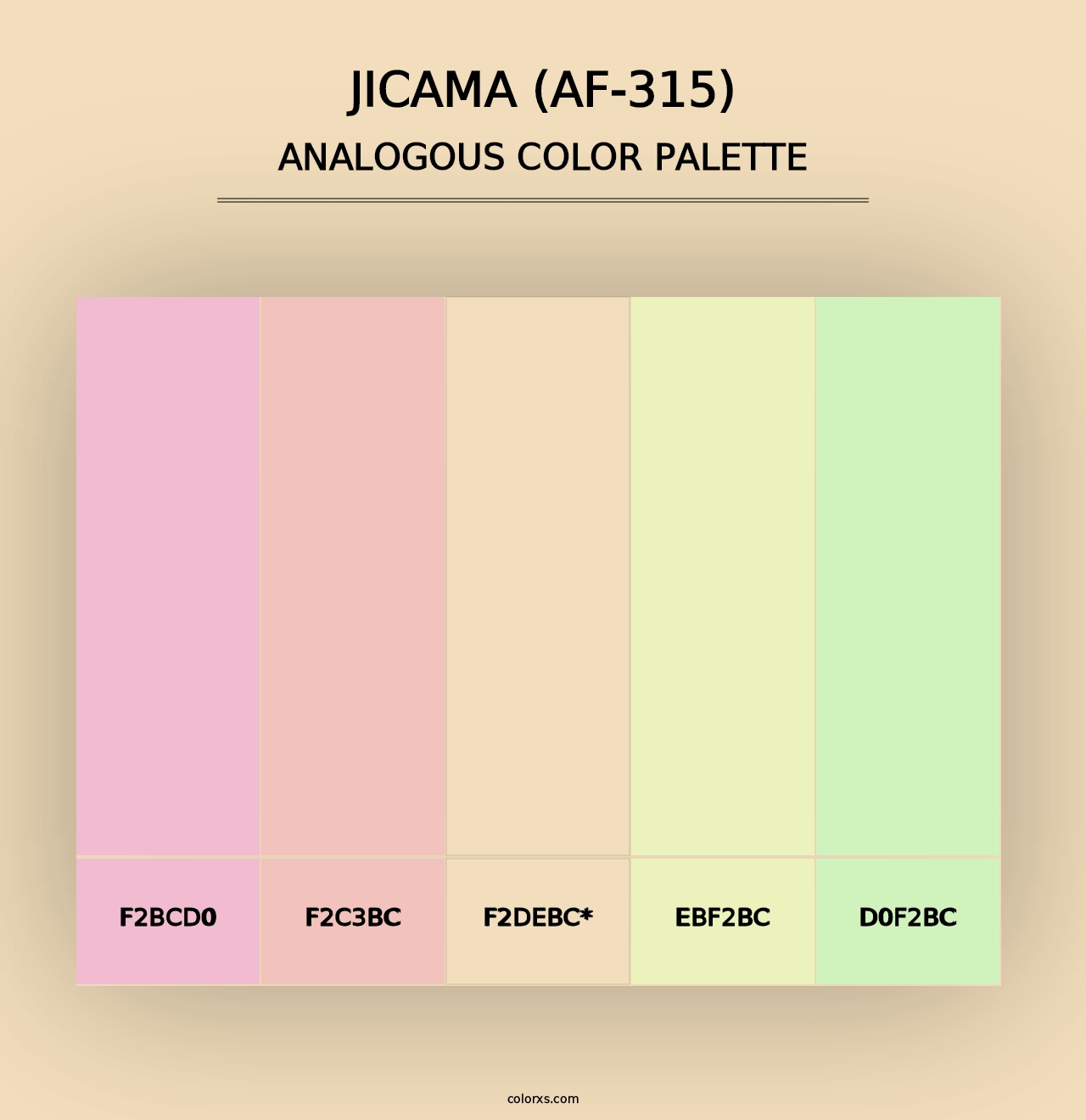 Jicama (AF-315) - Analogous Color Palette