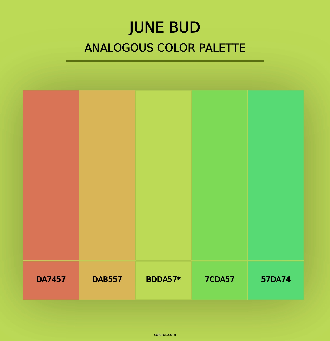 June Bud - Analogous Color Palette