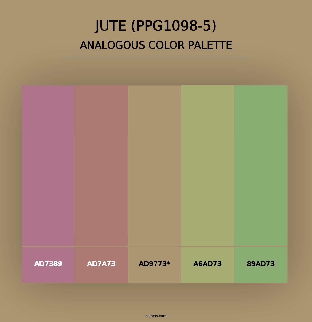 Jute (PPG1098-5) - Analogous Color Palette