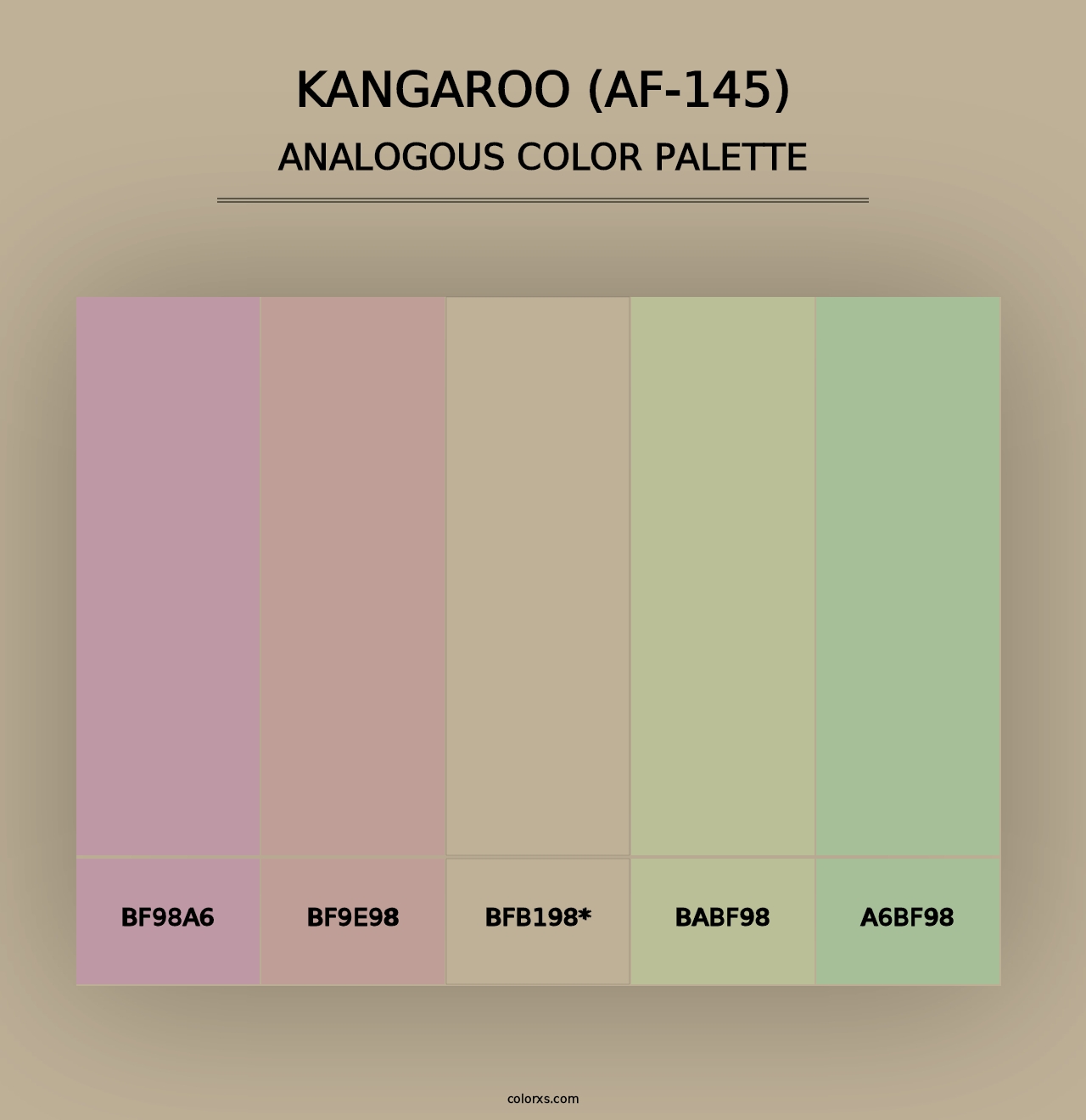 Kangaroo (AF-145) - Analogous Color Palette