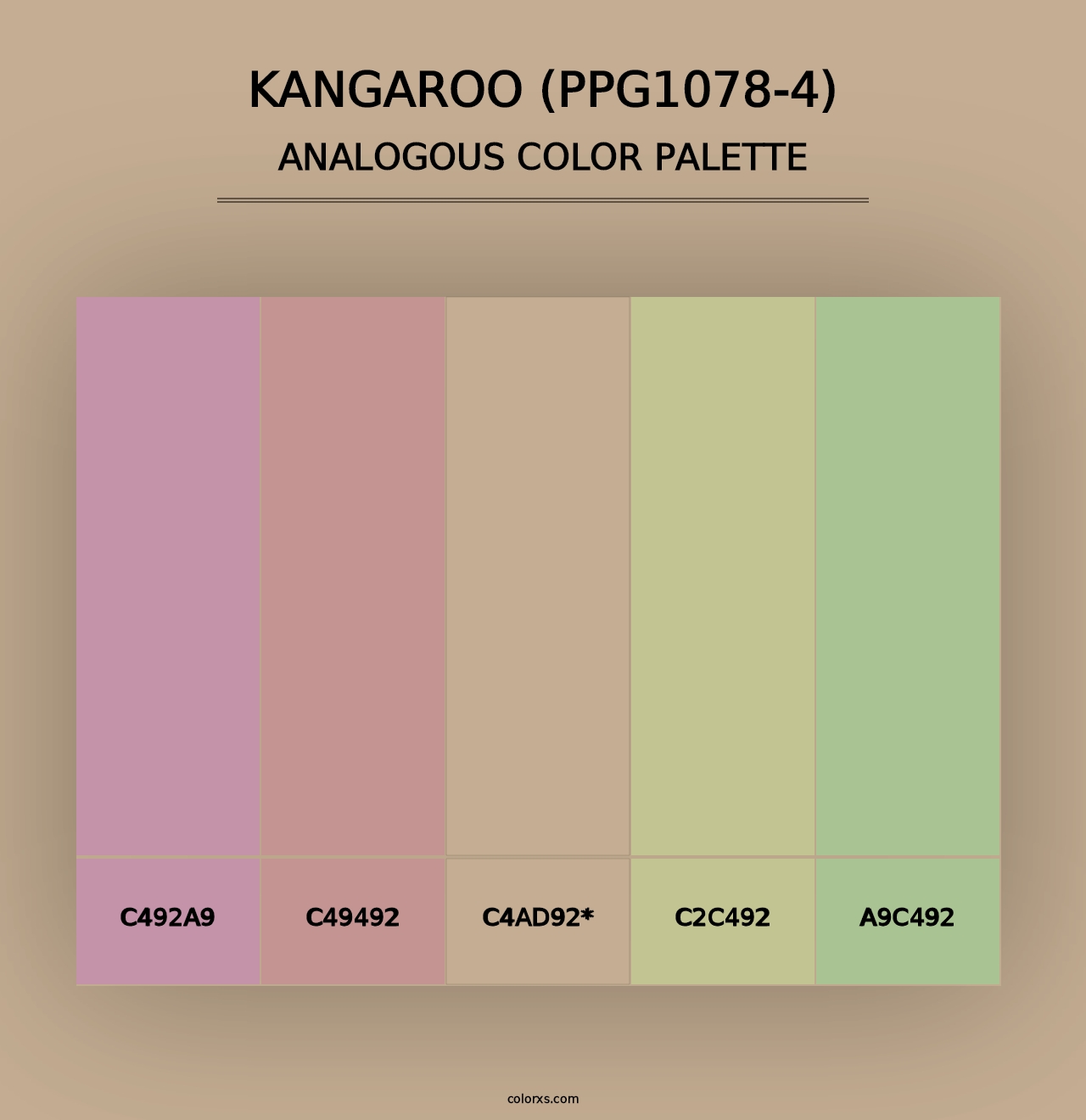 Kangaroo (PPG1078-4) - Analogous Color Palette