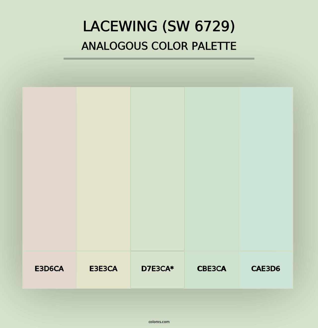 Lacewing (SW 6729) - Analogous Color Palette