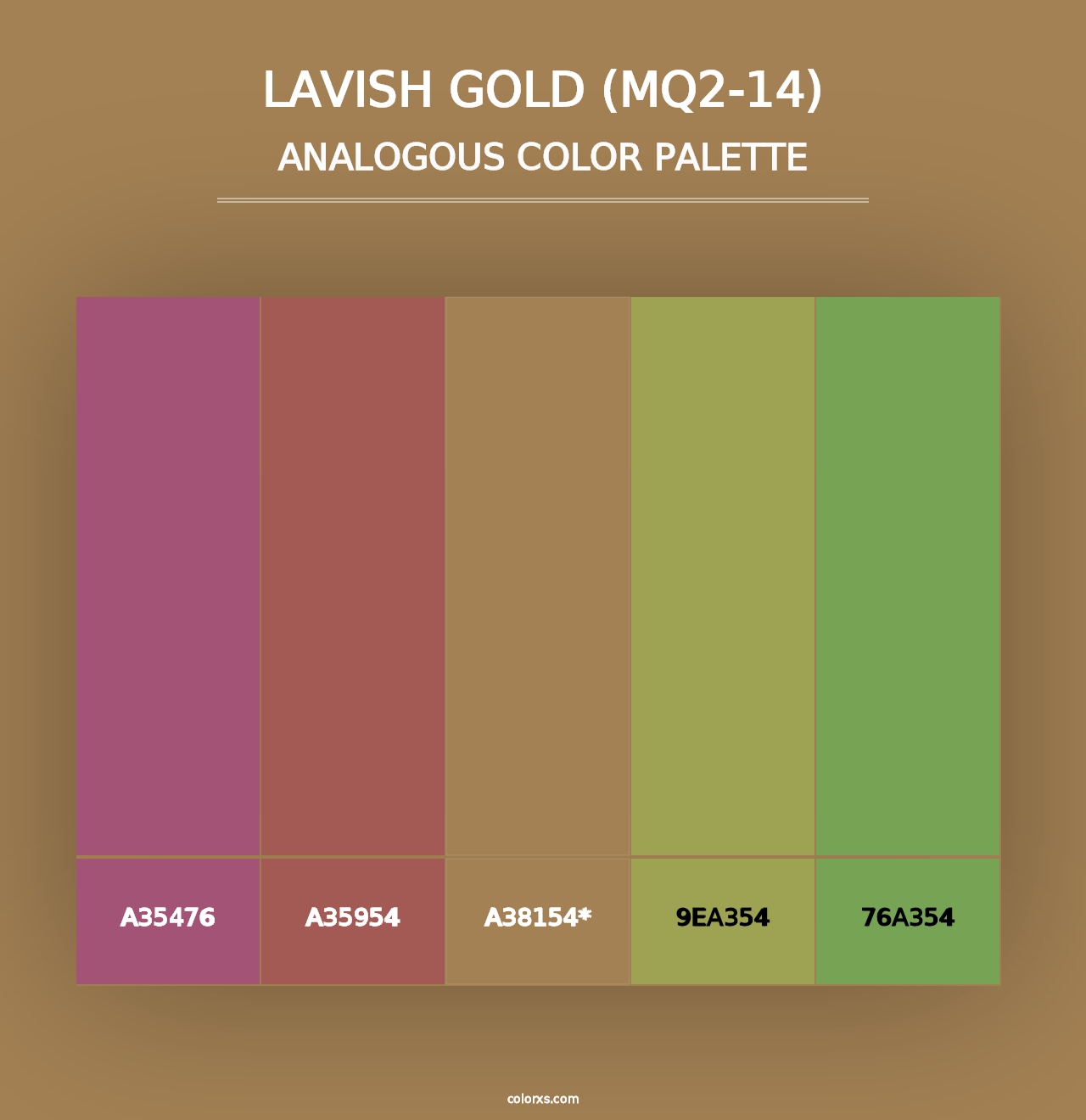 Lavish Gold (MQ2-14) - Analogous Color Palette