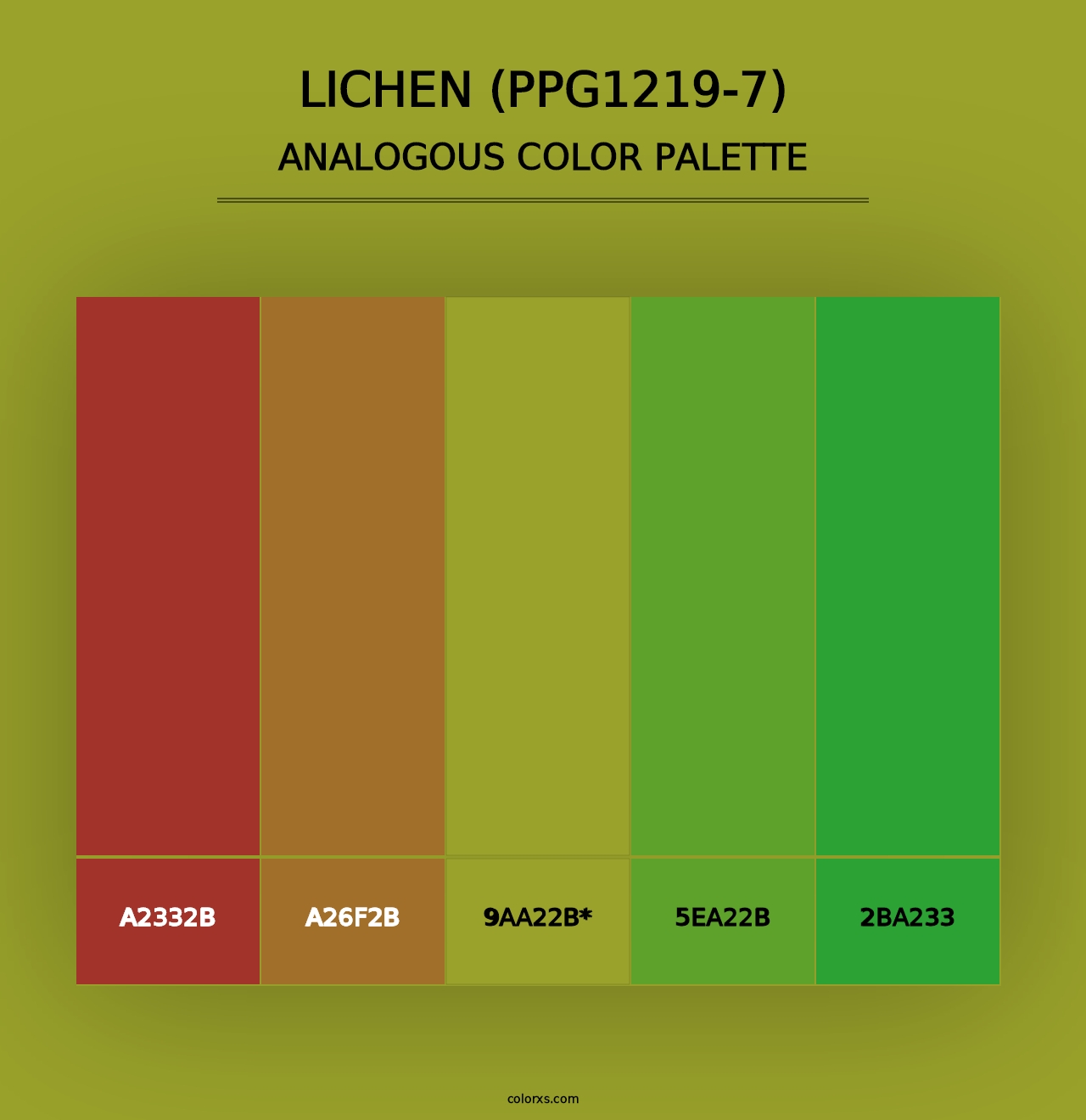 Lichen (PPG1219-7) - Analogous Color Palette