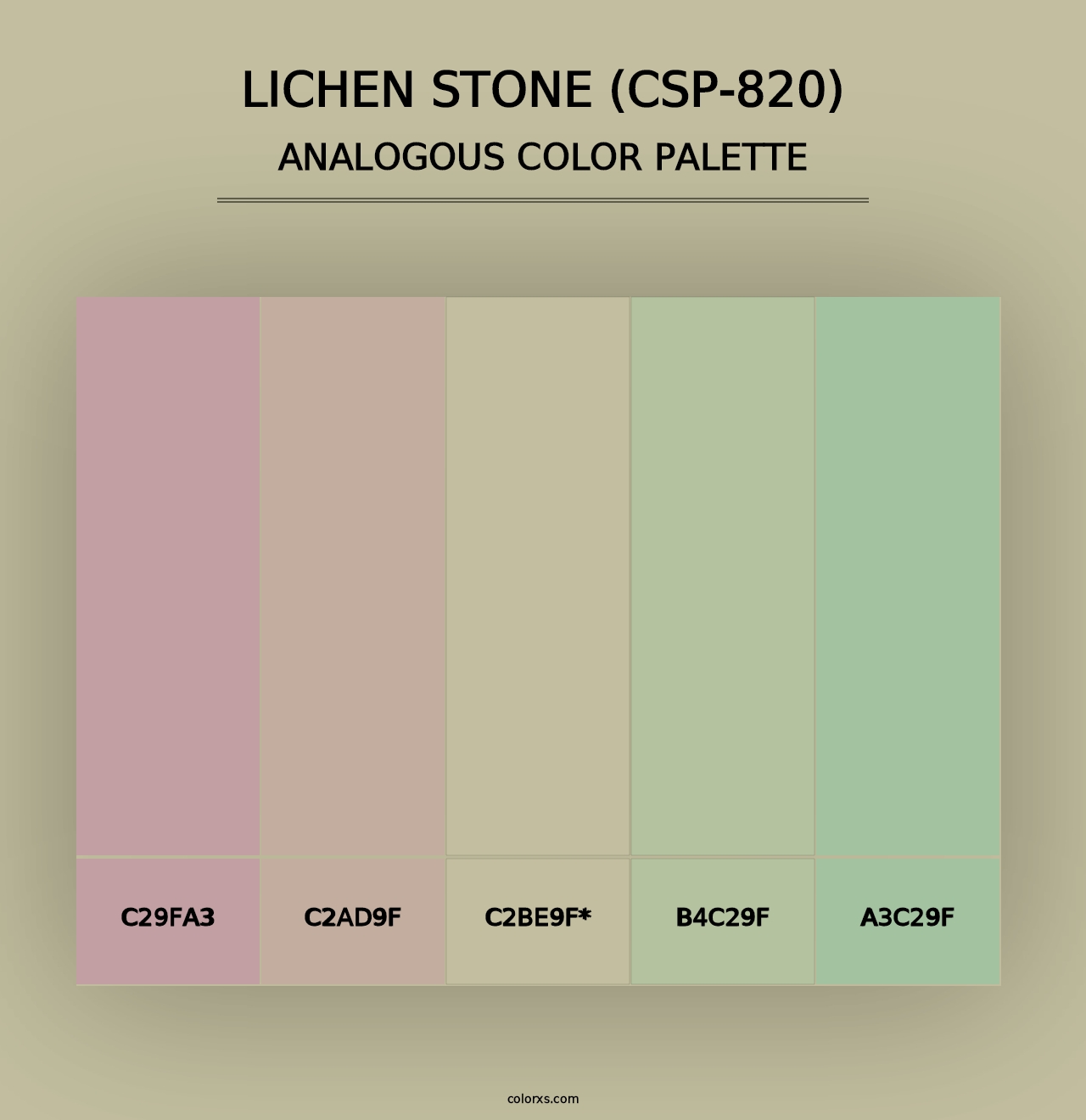 Lichen Stone (CSP-820) - Analogous Color Palette