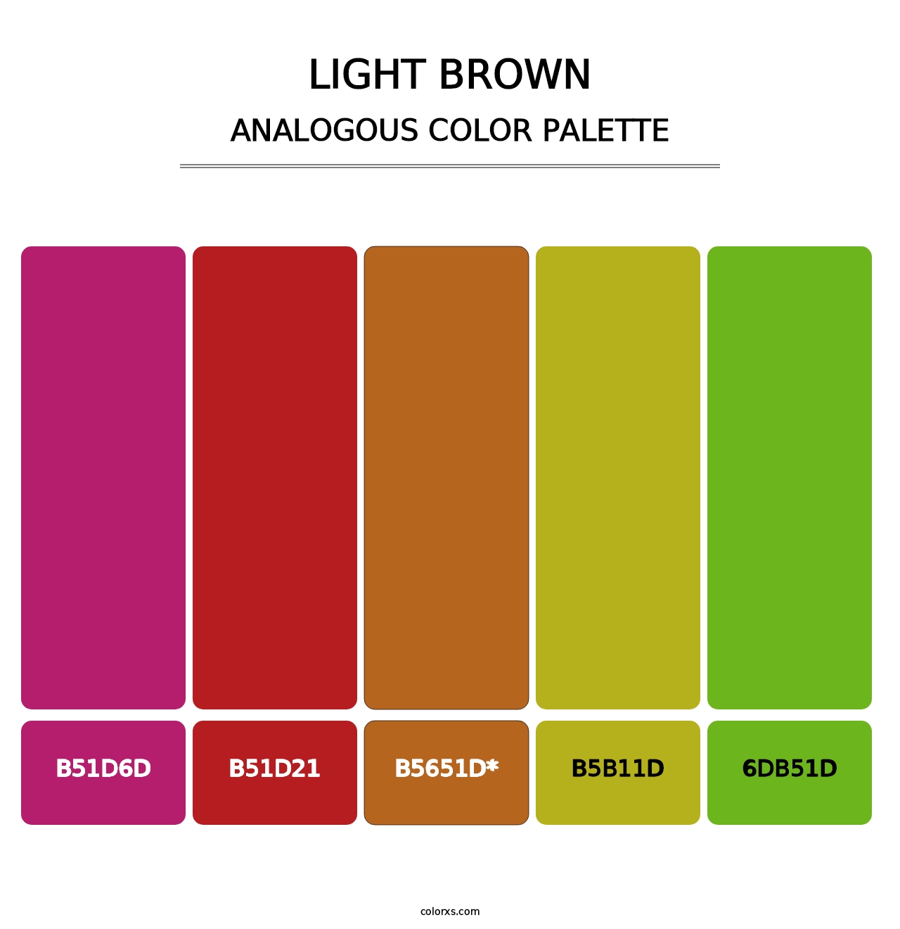 Light Brown - Analogous Color Palette