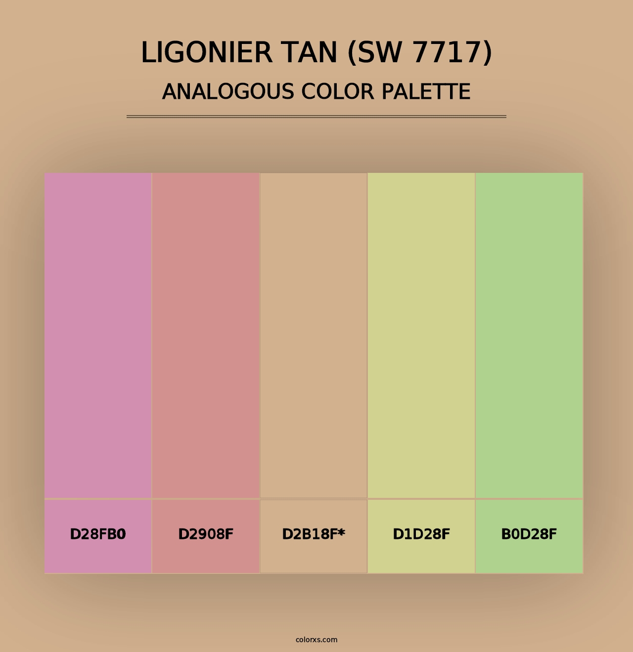 Ligonier Tan (SW 7717) - Analogous Color Palette