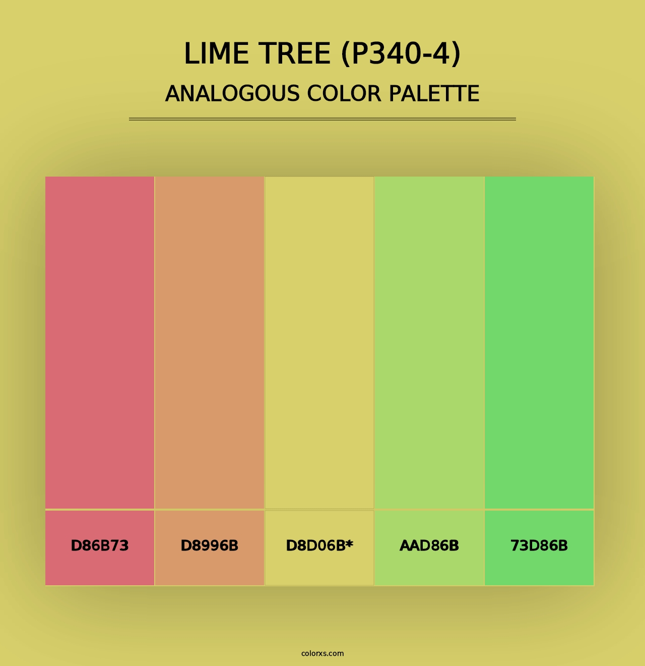 Lime Tree (P340-4) - Analogous Color Palette