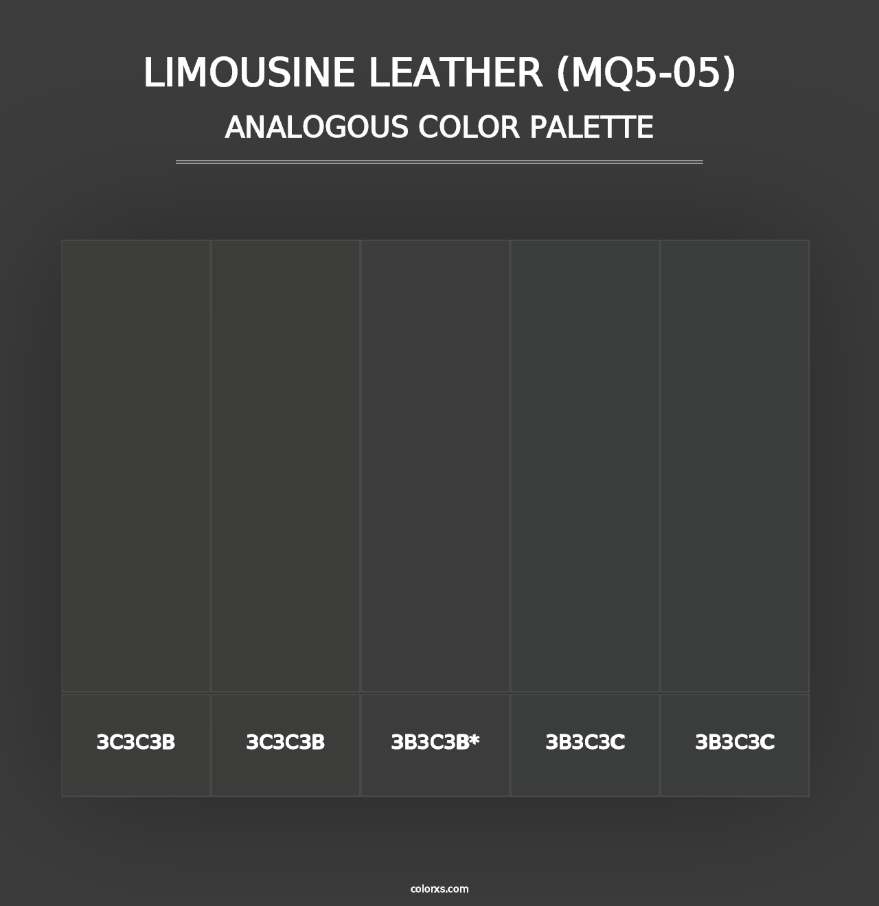 Limousine Leather (MQ5-05) - Analogous Color Palette