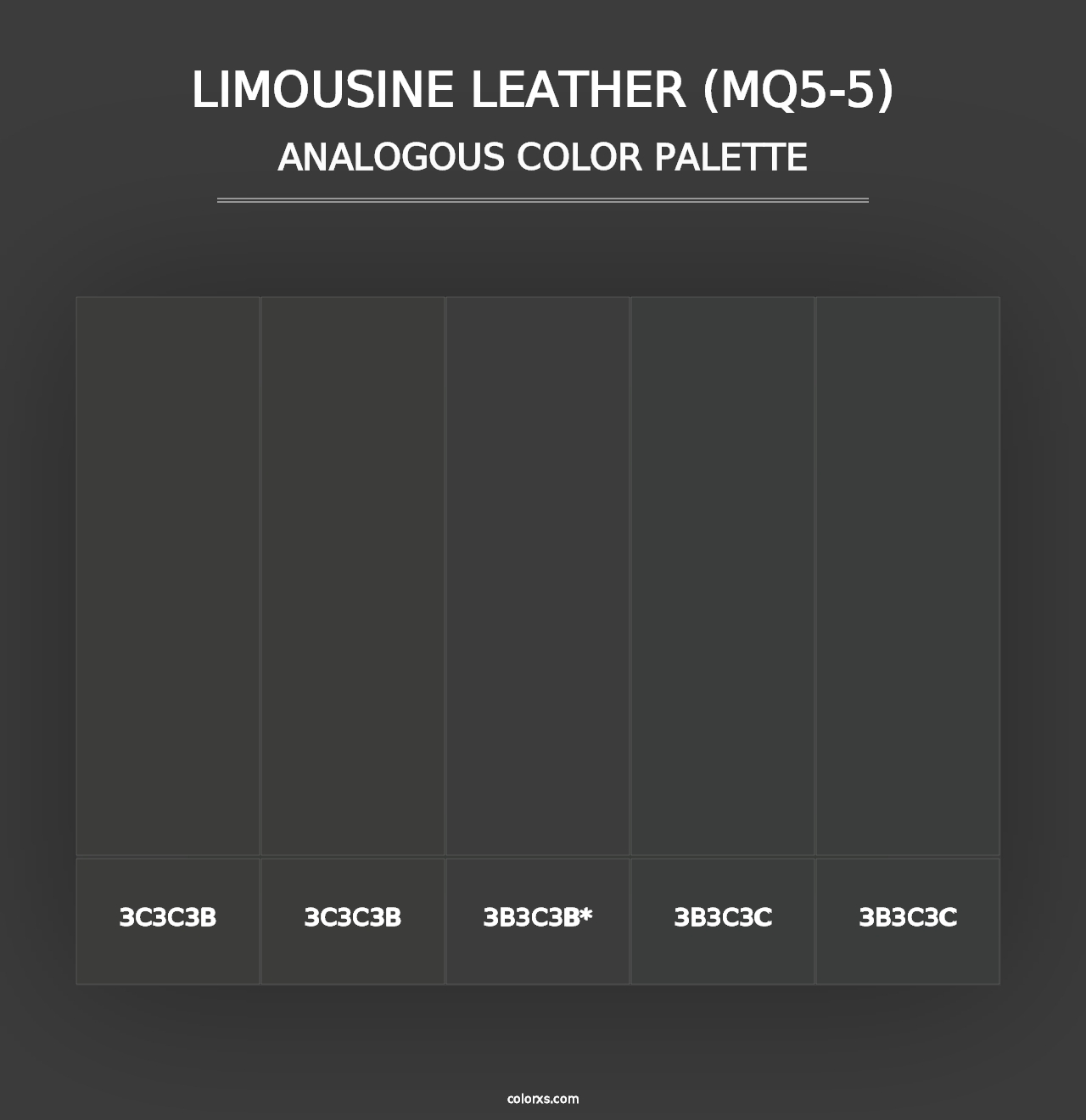 Limousine Leather (MQ5-5) - Analogous Color Palette