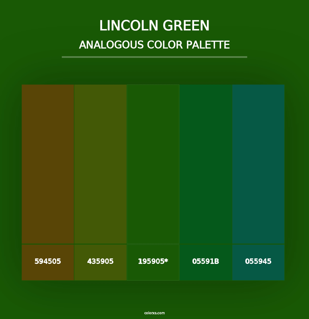 Lincoln Green - Analogous Color Palette