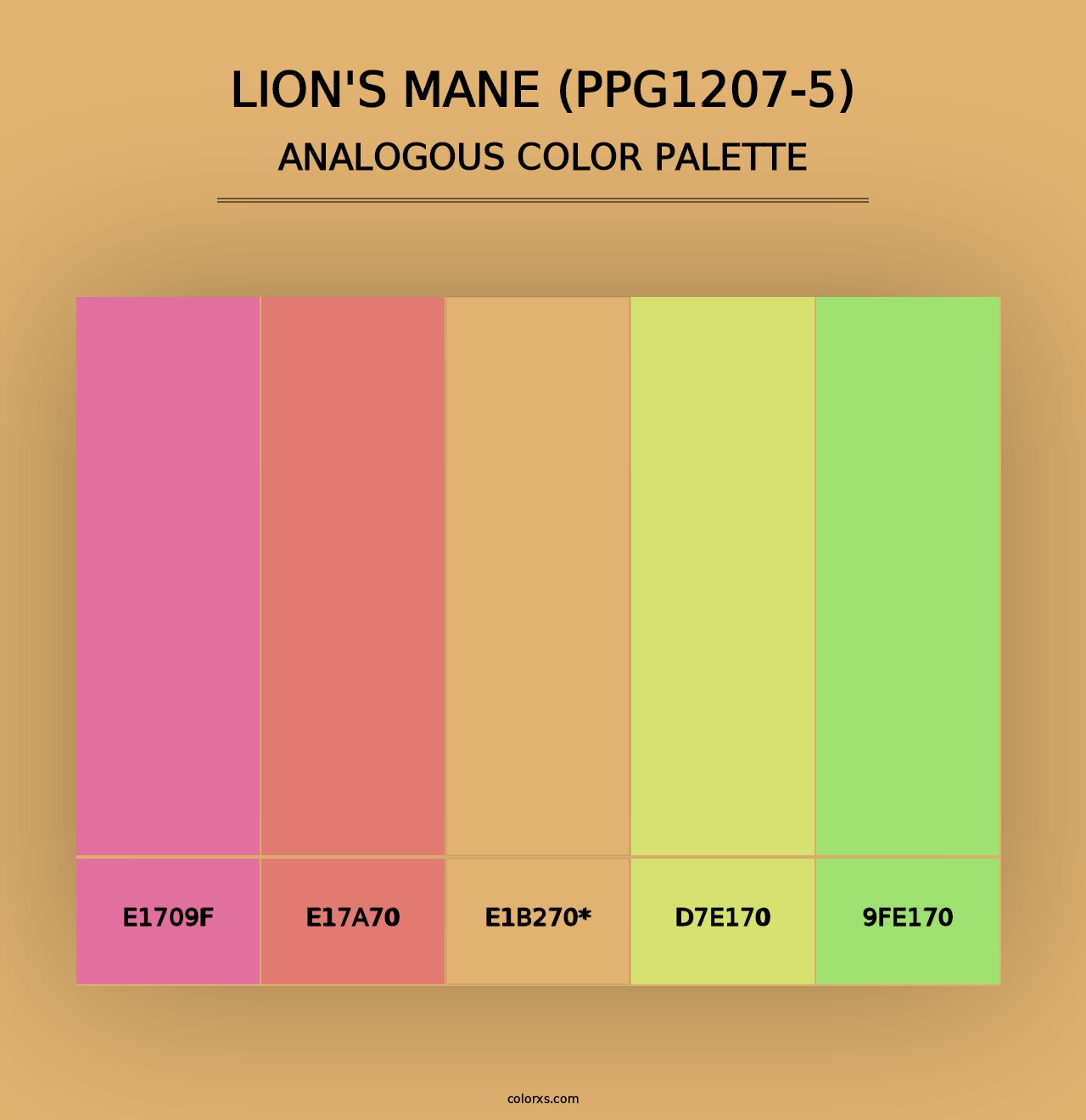 Lion's Mane (PPG1207-5) - Analogous Color Palette