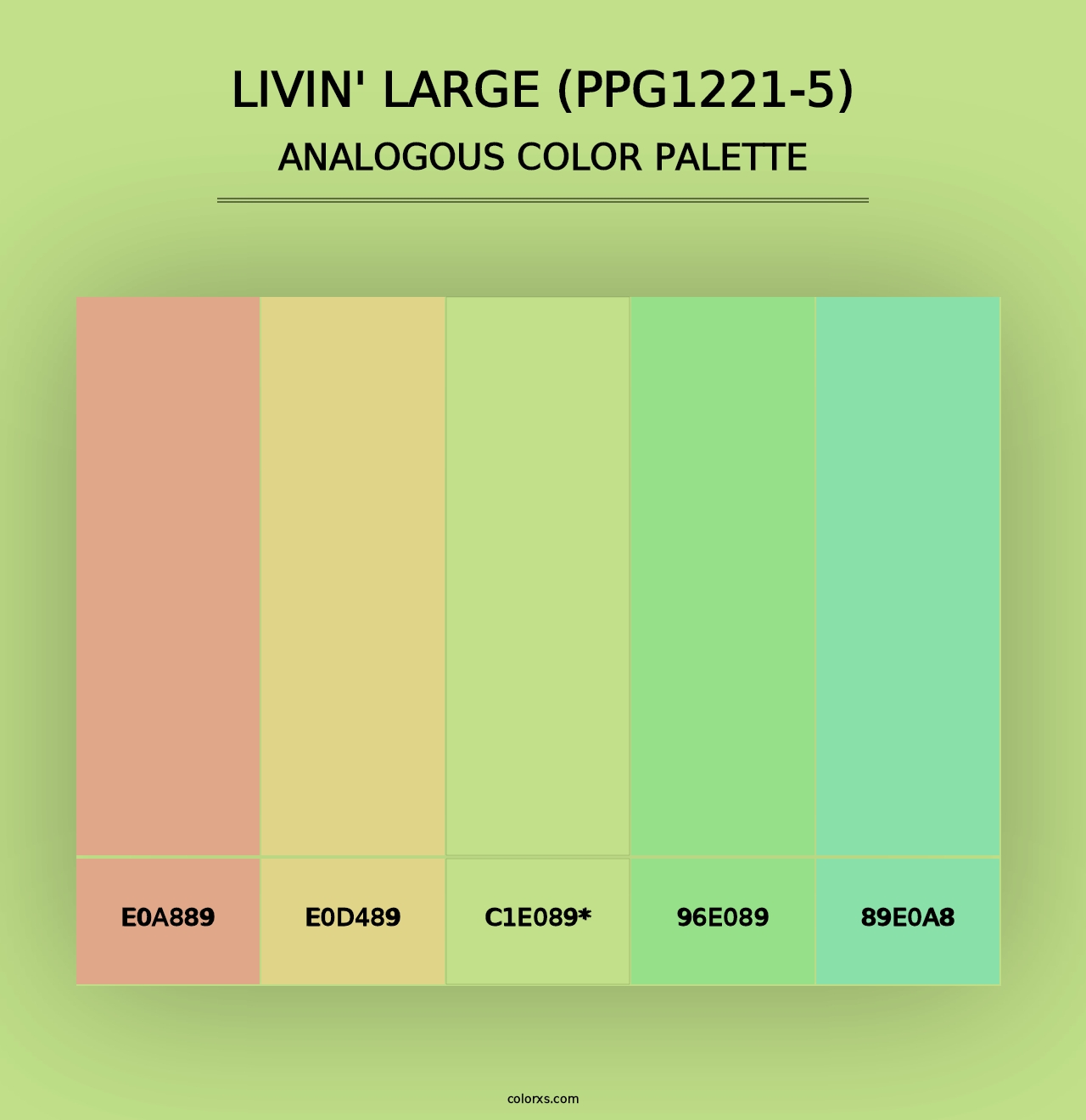 Livin' Large (PPG1221-5) - Analogous Color Palette