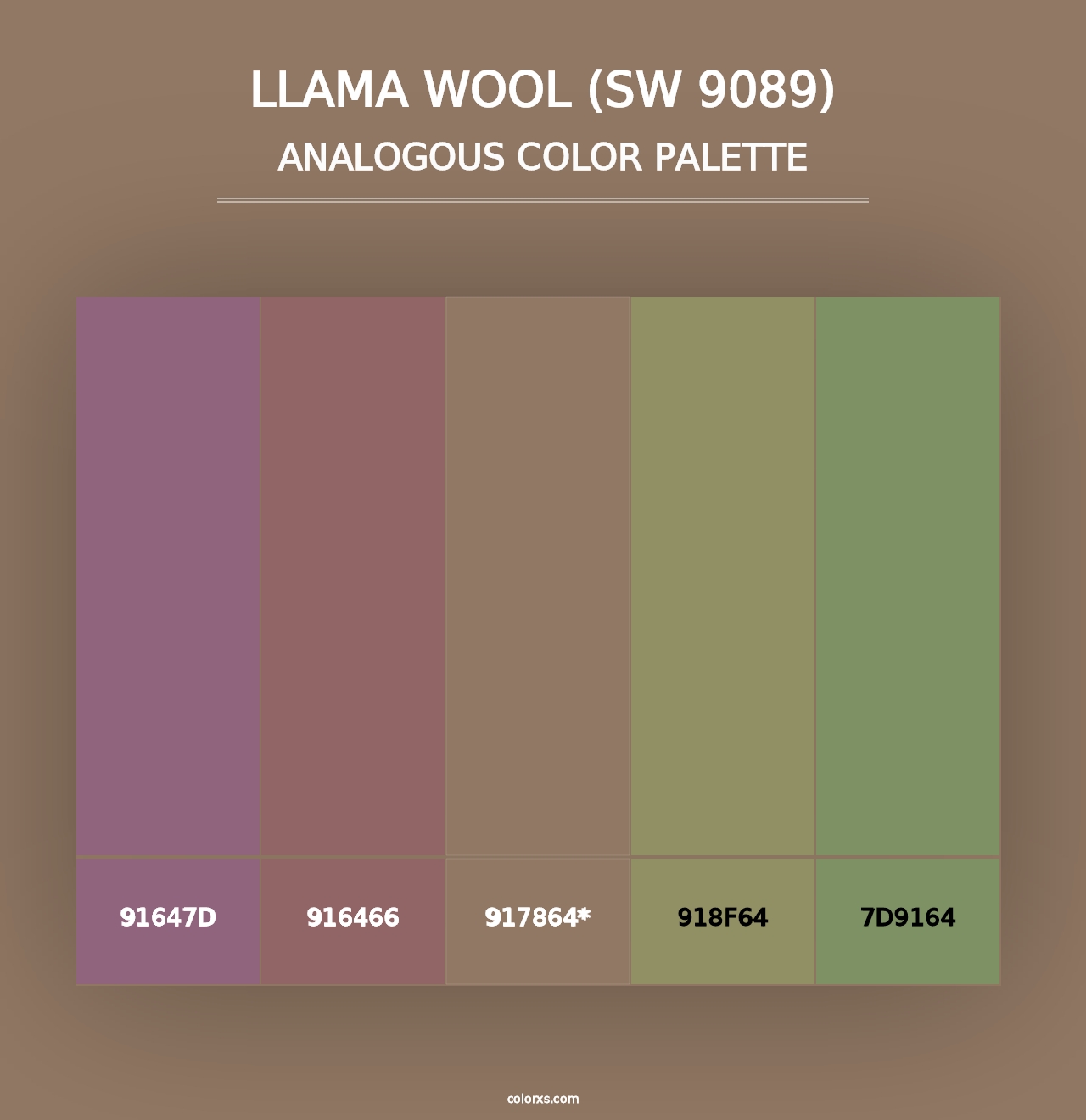 Llama Wool (SW 9089) - Analogous Color Palette