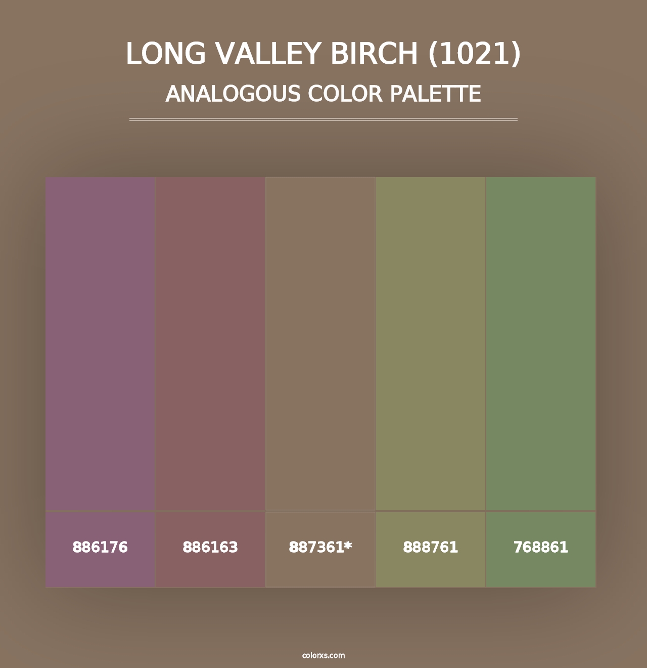 Long Valley Birch (1021) - Analogous Color Palette