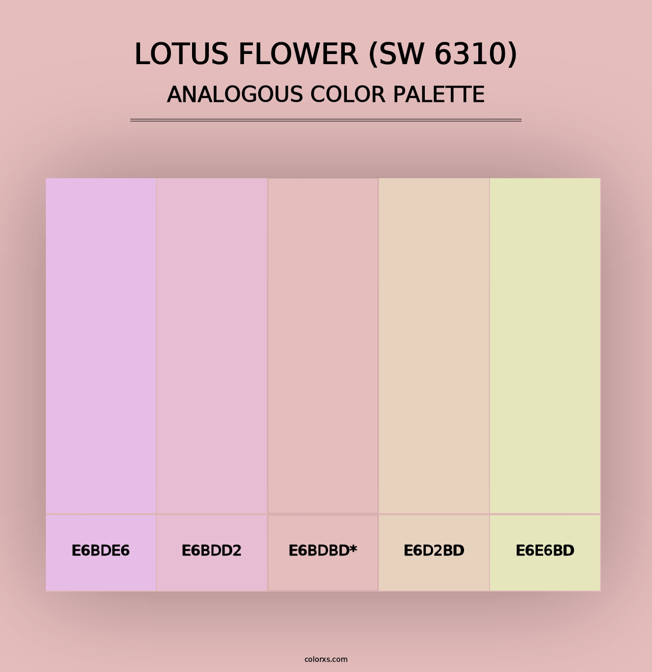 Lotus Flower (SW 6310) - Analogous Color Palette