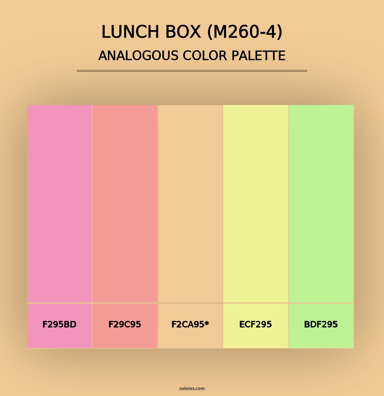 Lunch Box (M260-4) - Analogous Color Palette