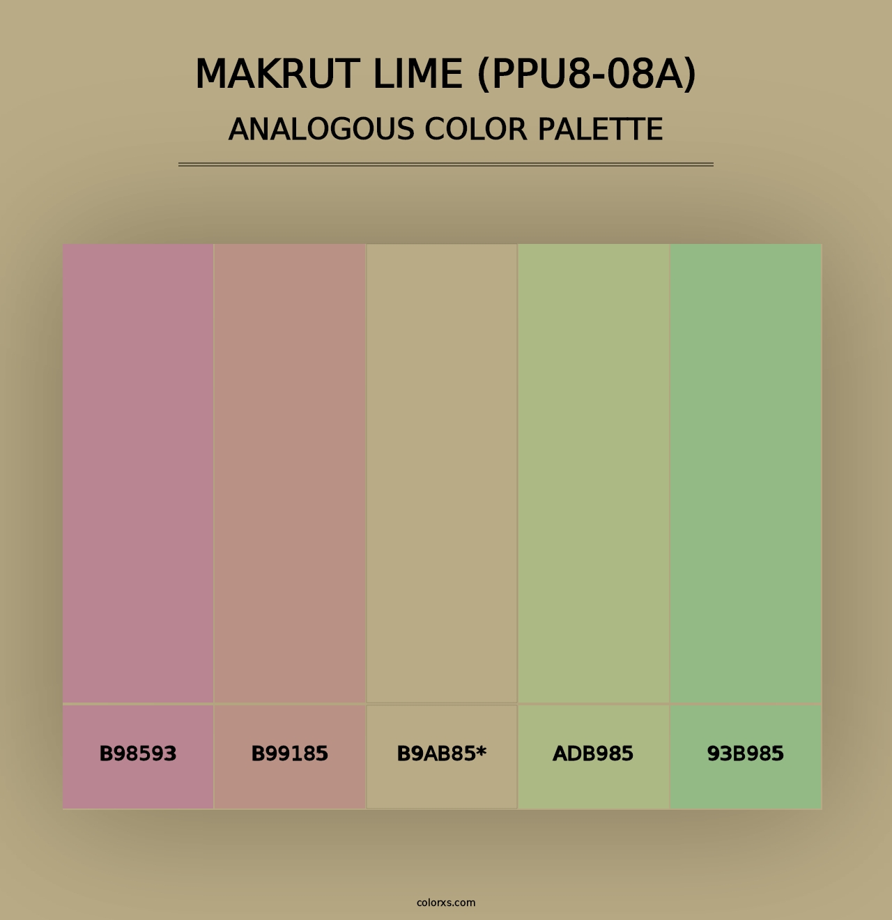 Makrut Lime (PPU8-08A) - Analogous Color Palette