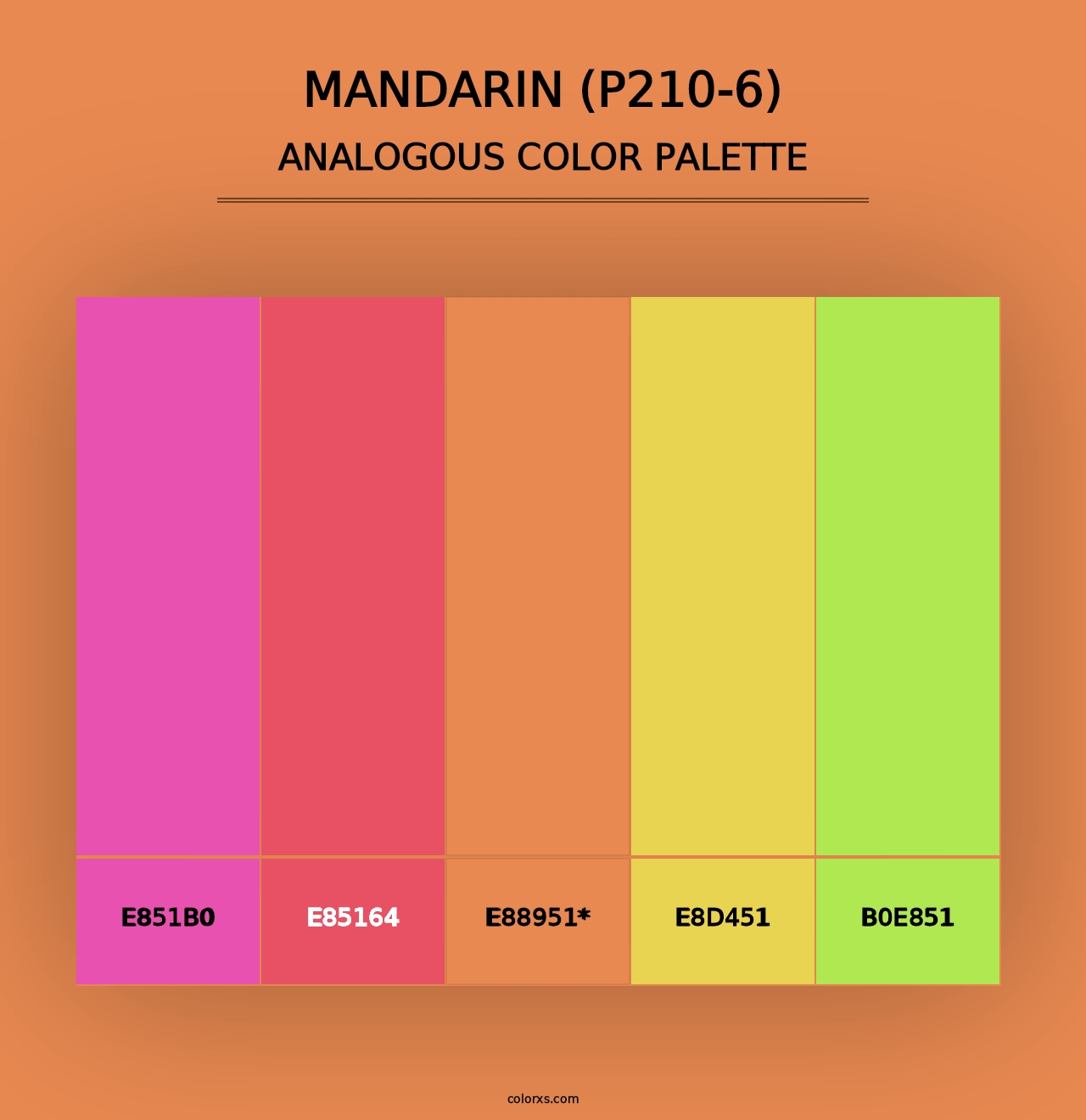 Mandarin (P210-6) - Analogous Color Palette