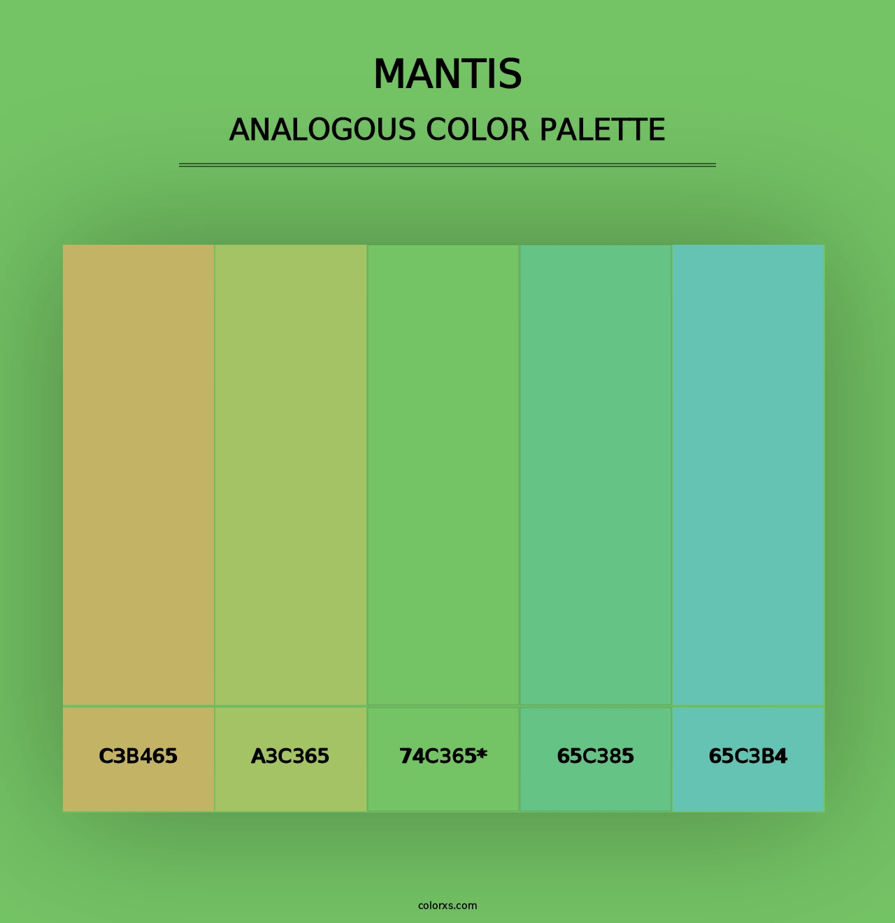 Mantis - Analogous Color Palette