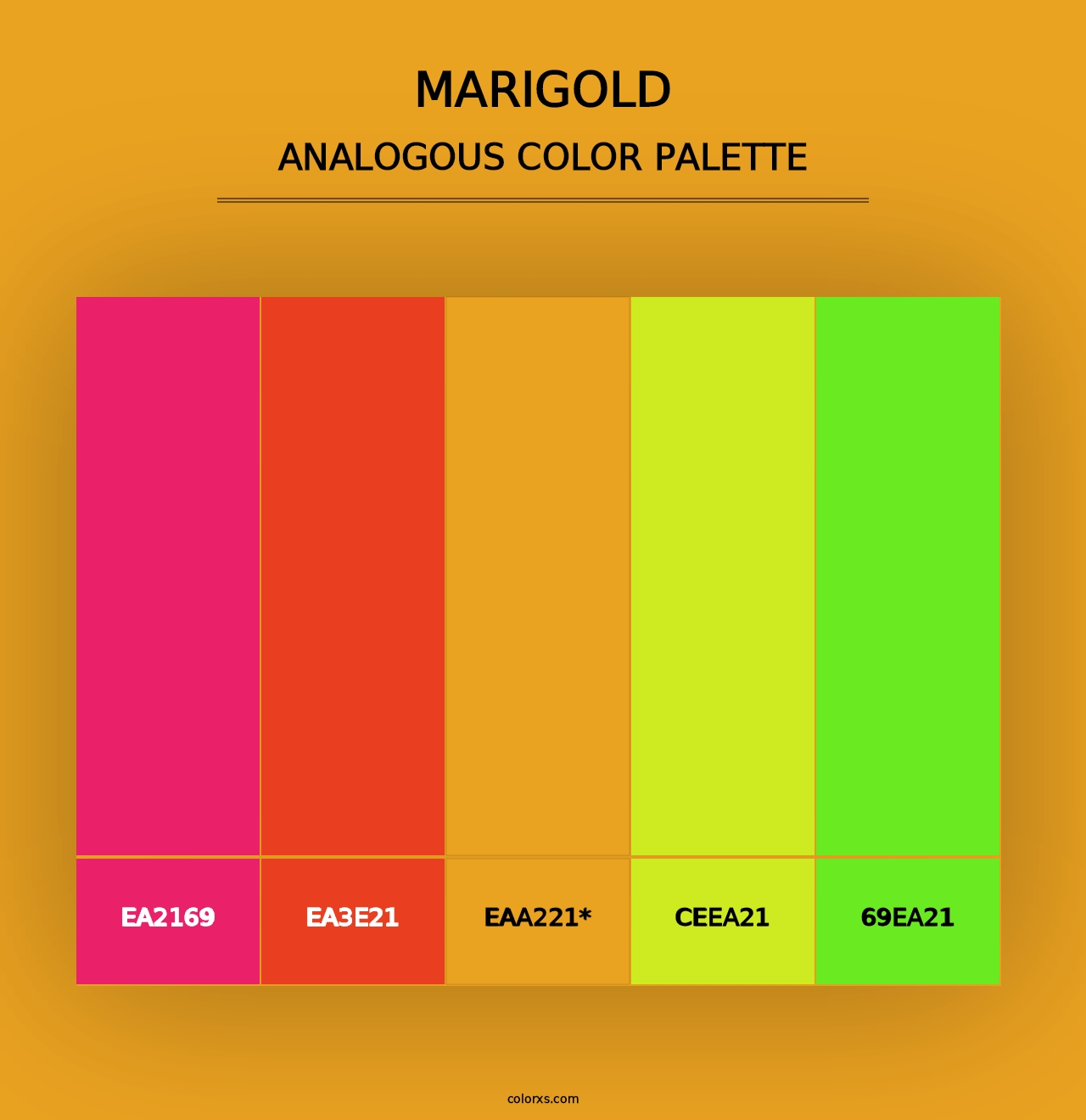 Marigold - Analogous Color Palette