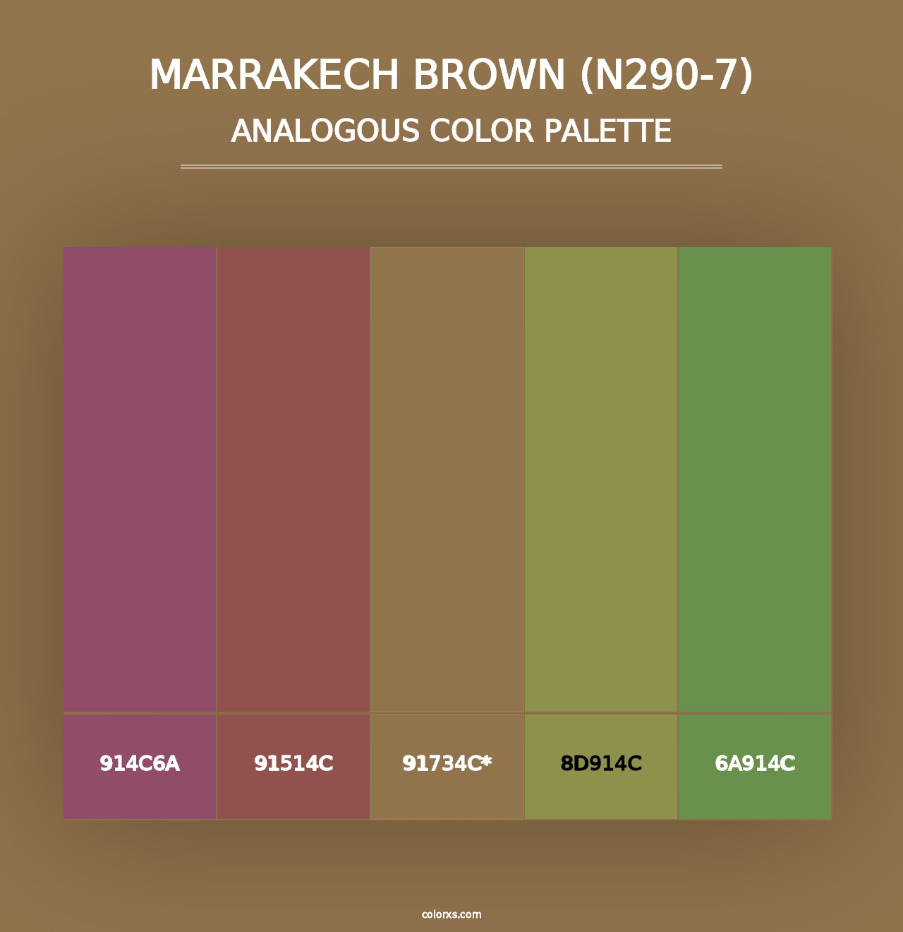 Marrakech Brown (N290-7) - Analogous Color Palette