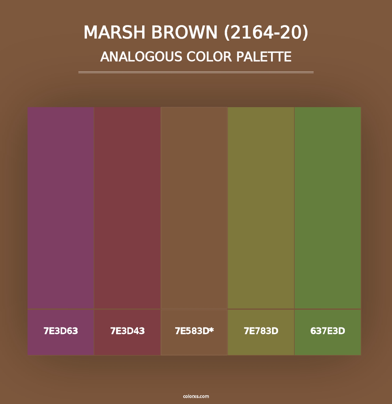 Marsh Brown (2164-20) - Analogous Color Palette