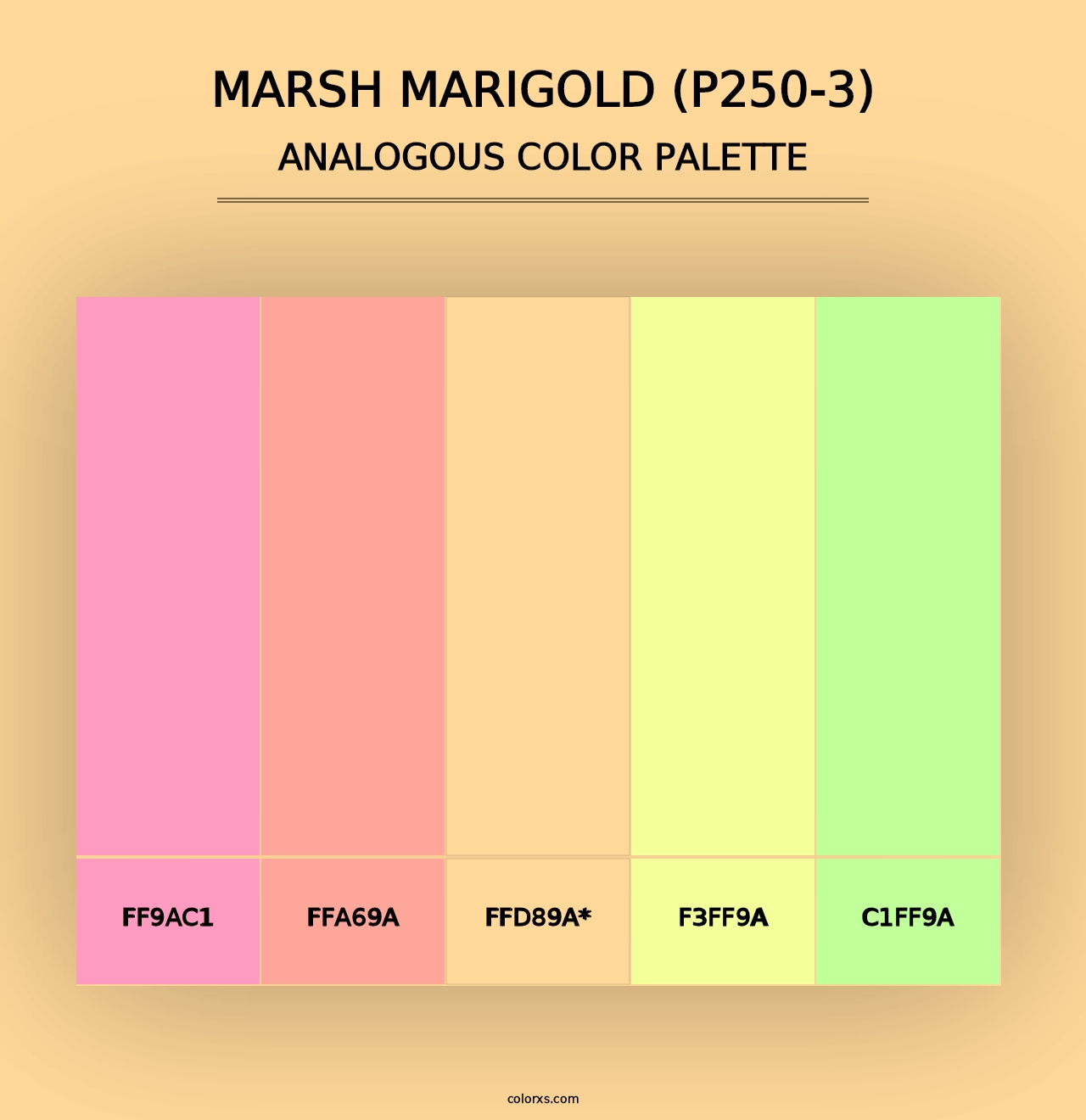 Marsh Marigold (P250-3) - Analogous Color Palette