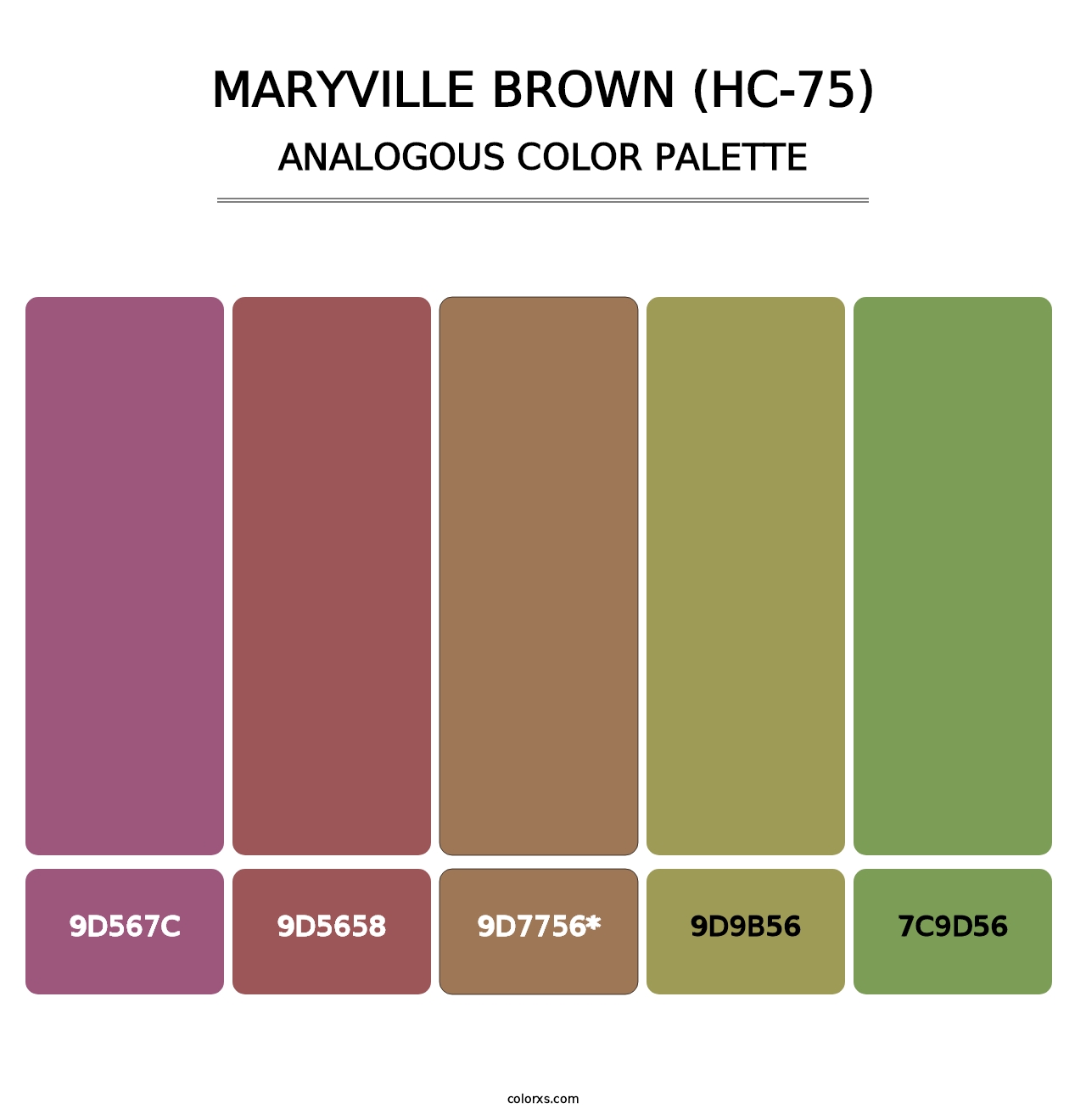 Maryville Brown (HC-75) - Analogous Color Palette
