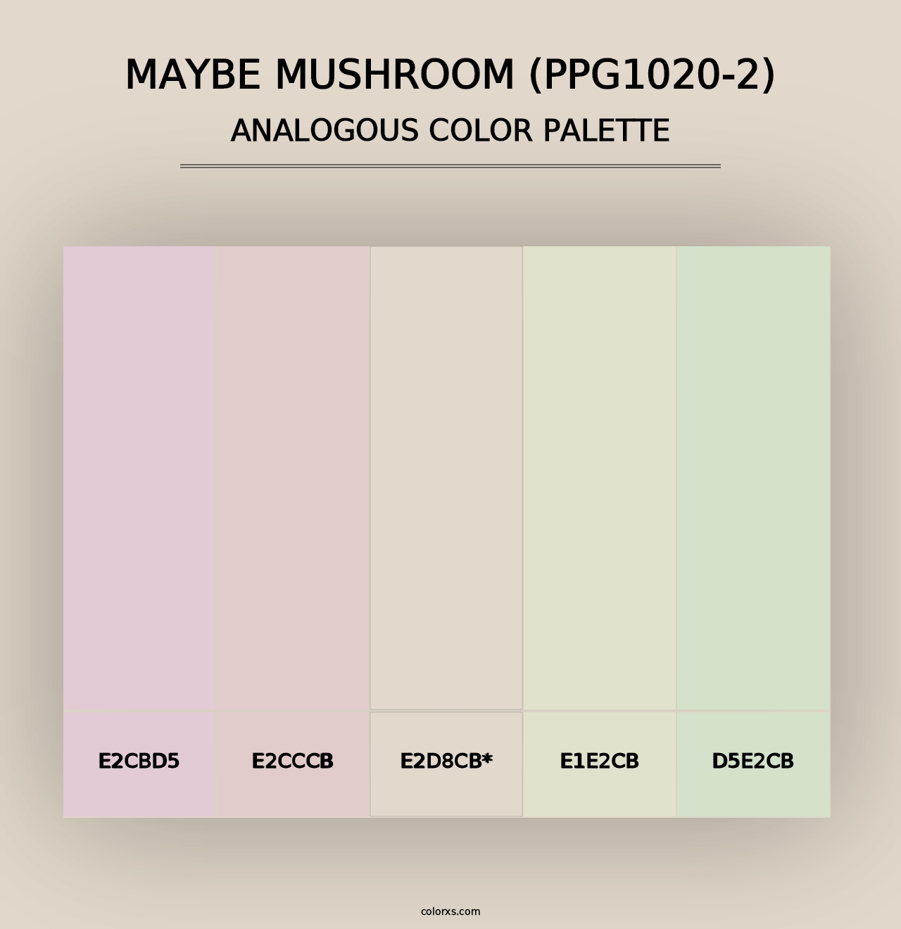 Maybe Mushroom (PPG1020-2) - Analogous Color Palette