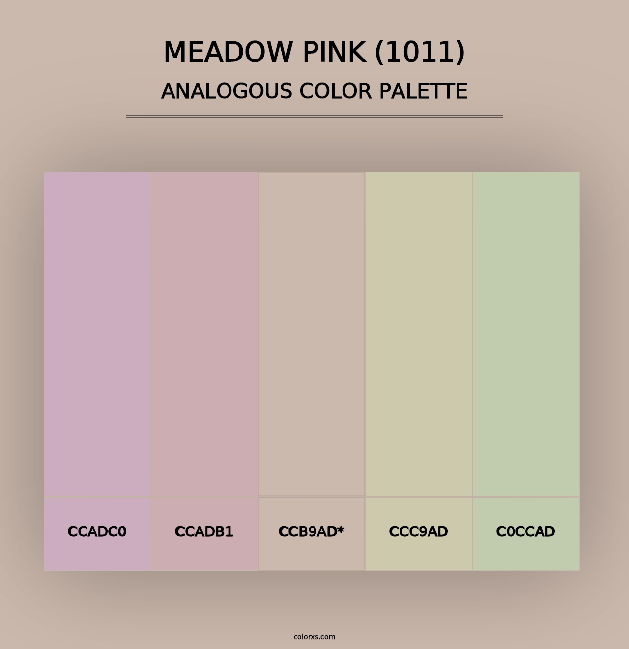 Meadow Pink (1011) - Analogous Color Palette