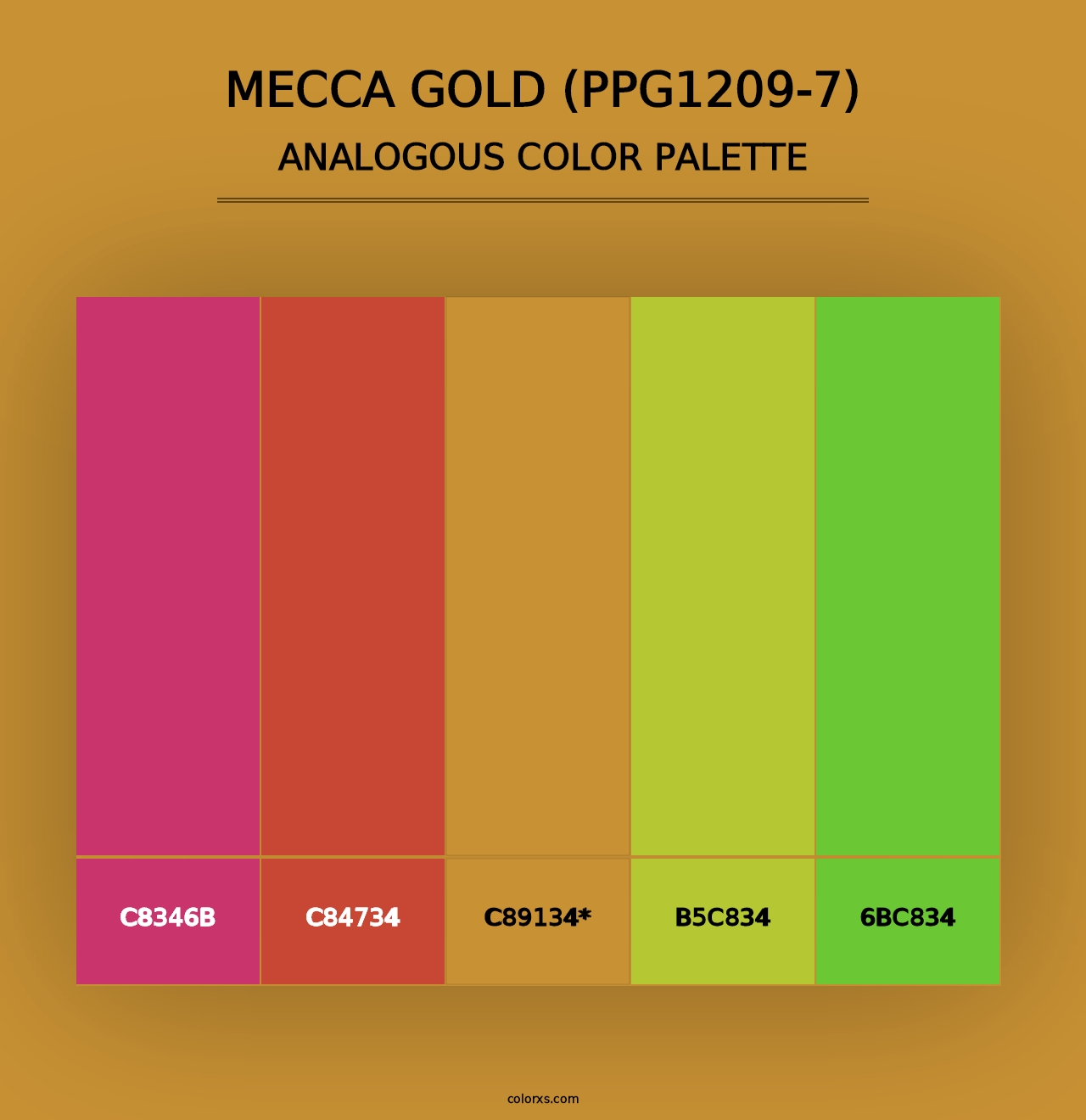 Mecca Gold (PPG1209-7) - Analogous Color Palette