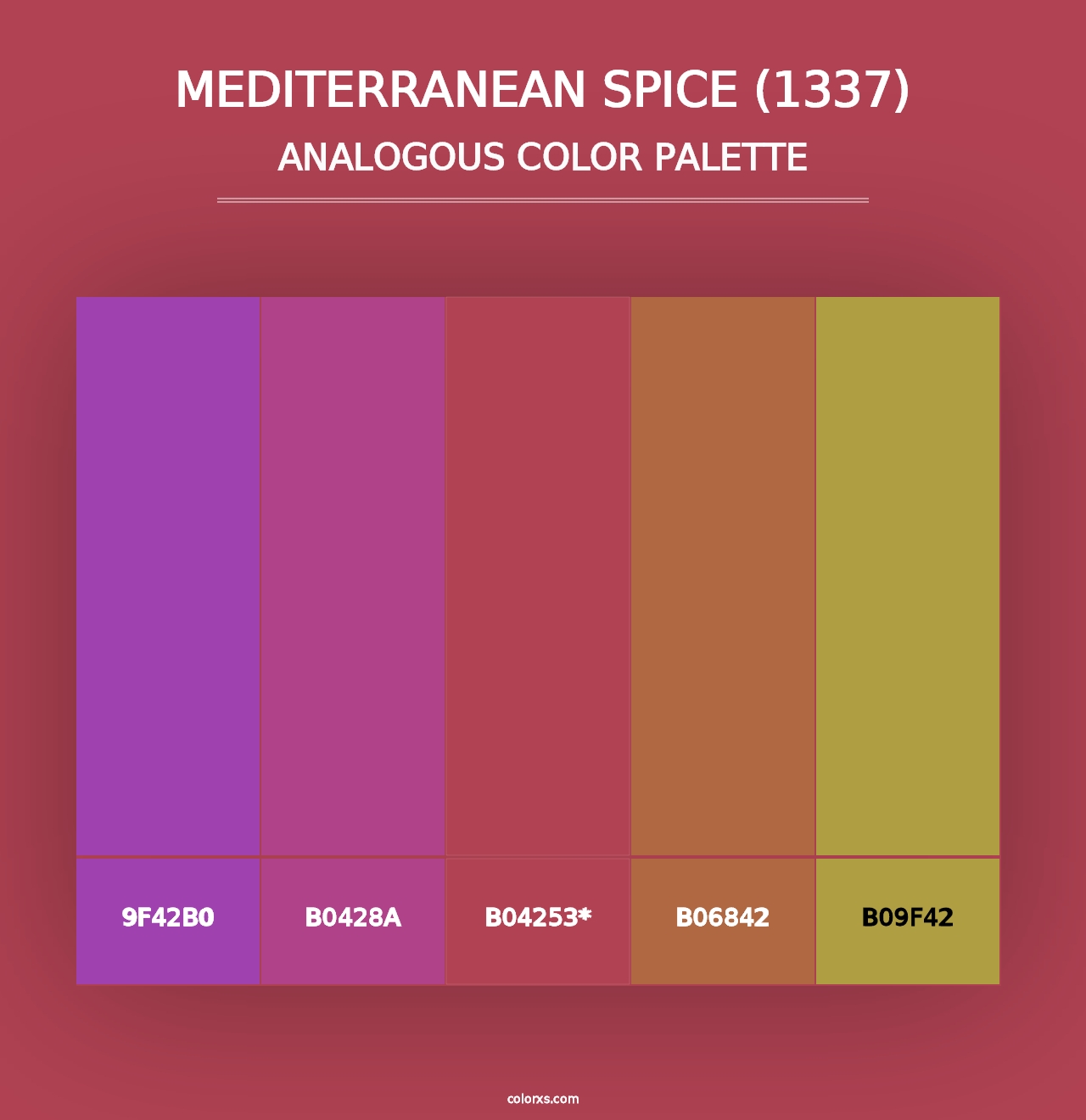 Mediterranean Spice (1337) - Analogous Color Palette