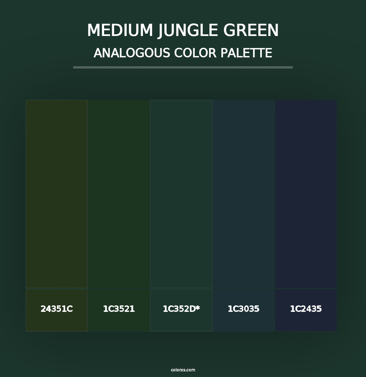 Medium Jungle Green - Analogous Color Palette