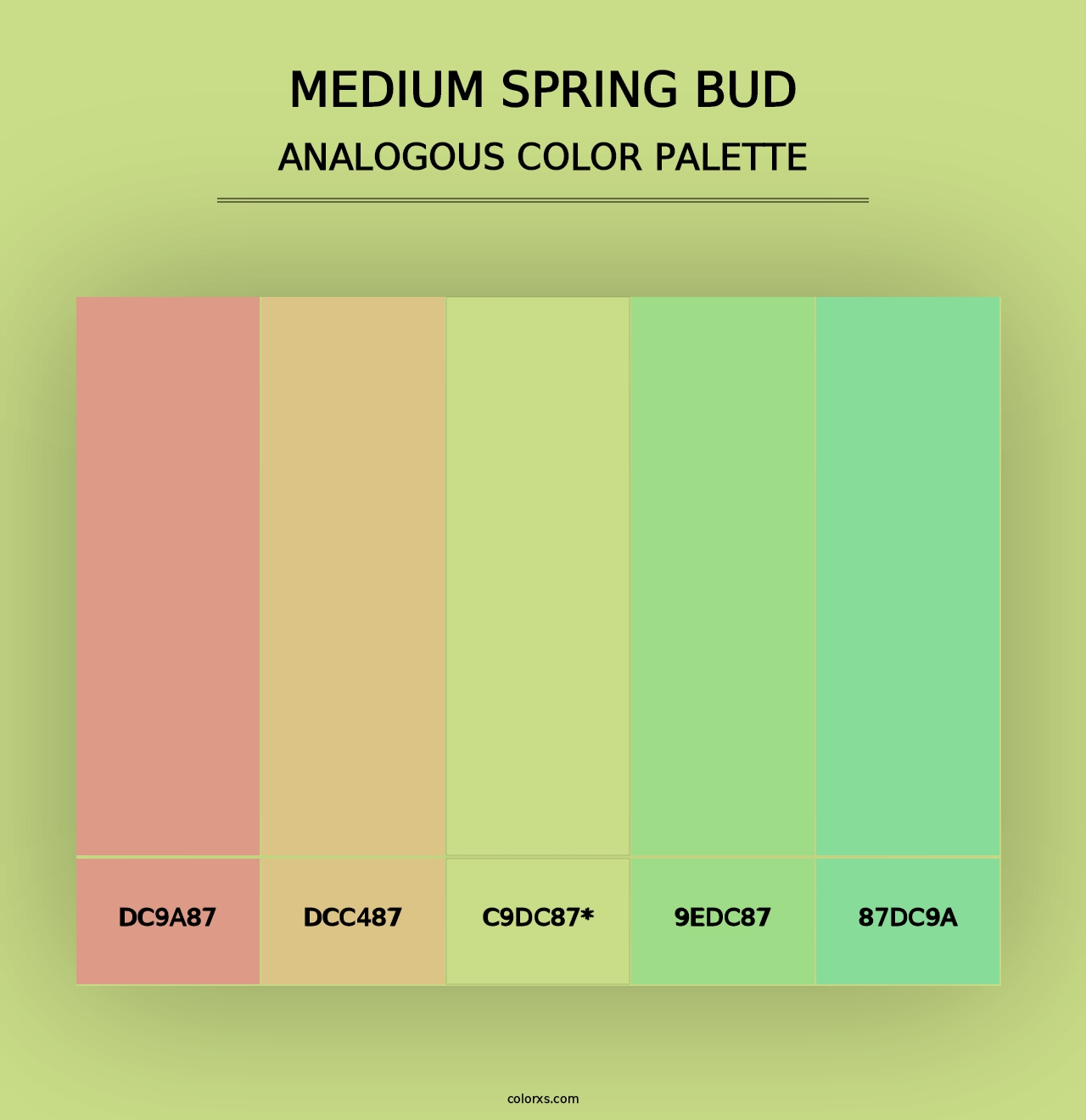 Medium Spring Bud - Analogous Color Palette