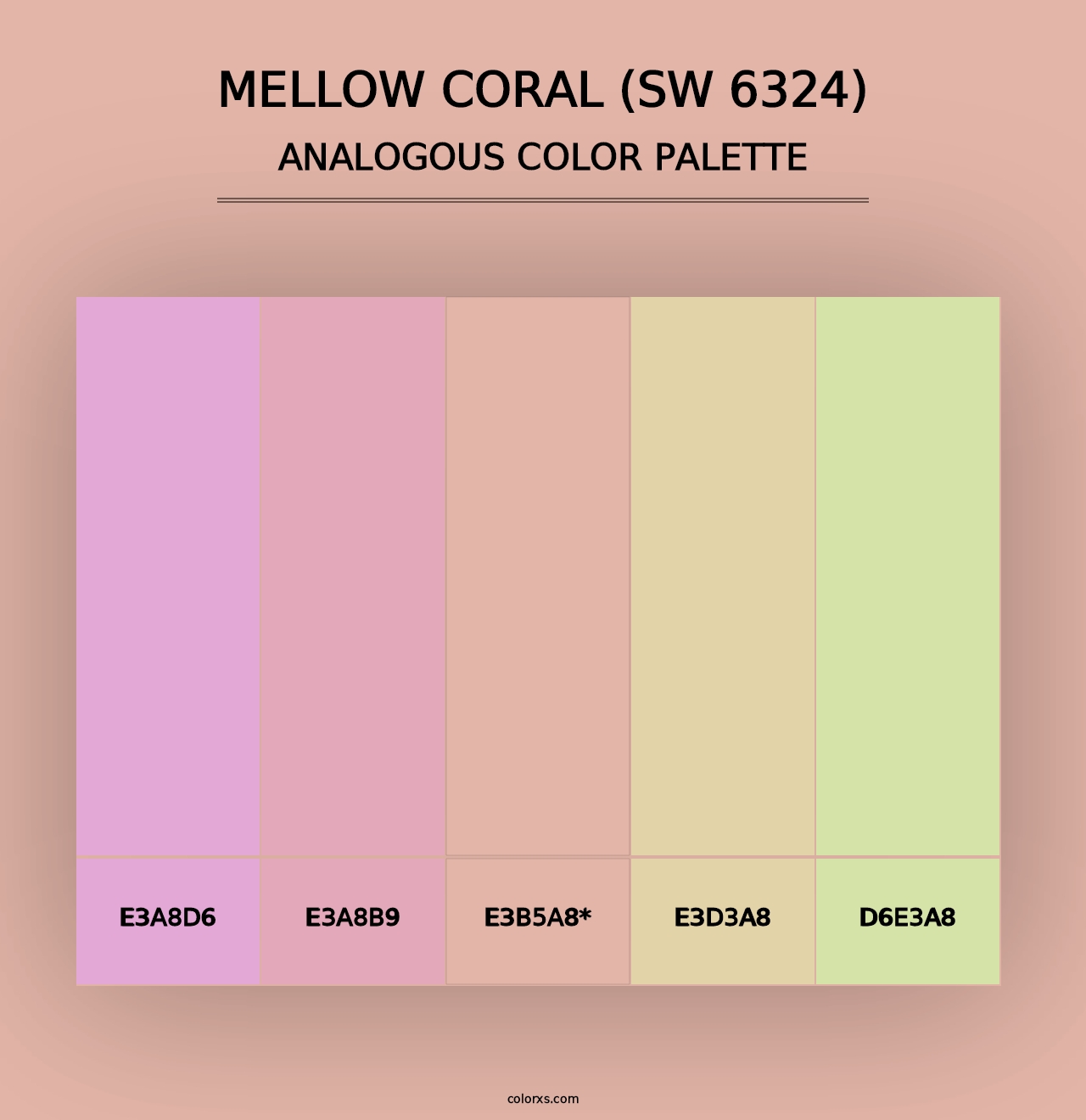 Mellow Coral (SW 6324) - Analogous Color Palette