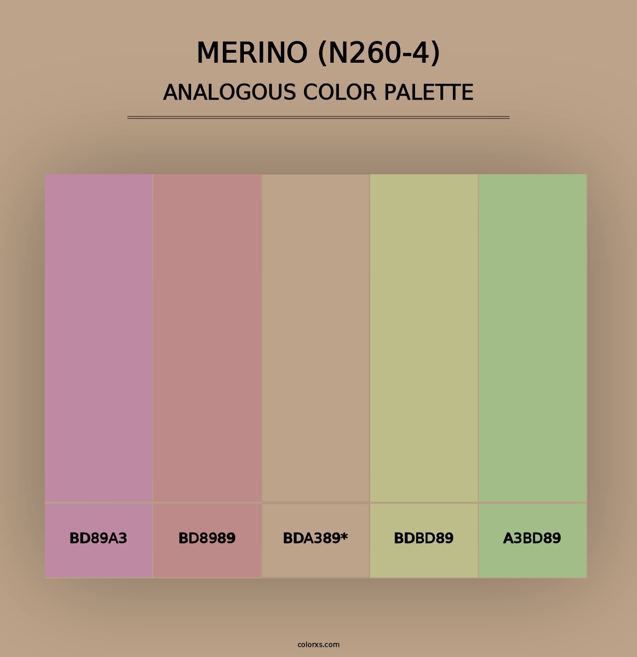 Merino (N260-4) - Analogous Color Palette