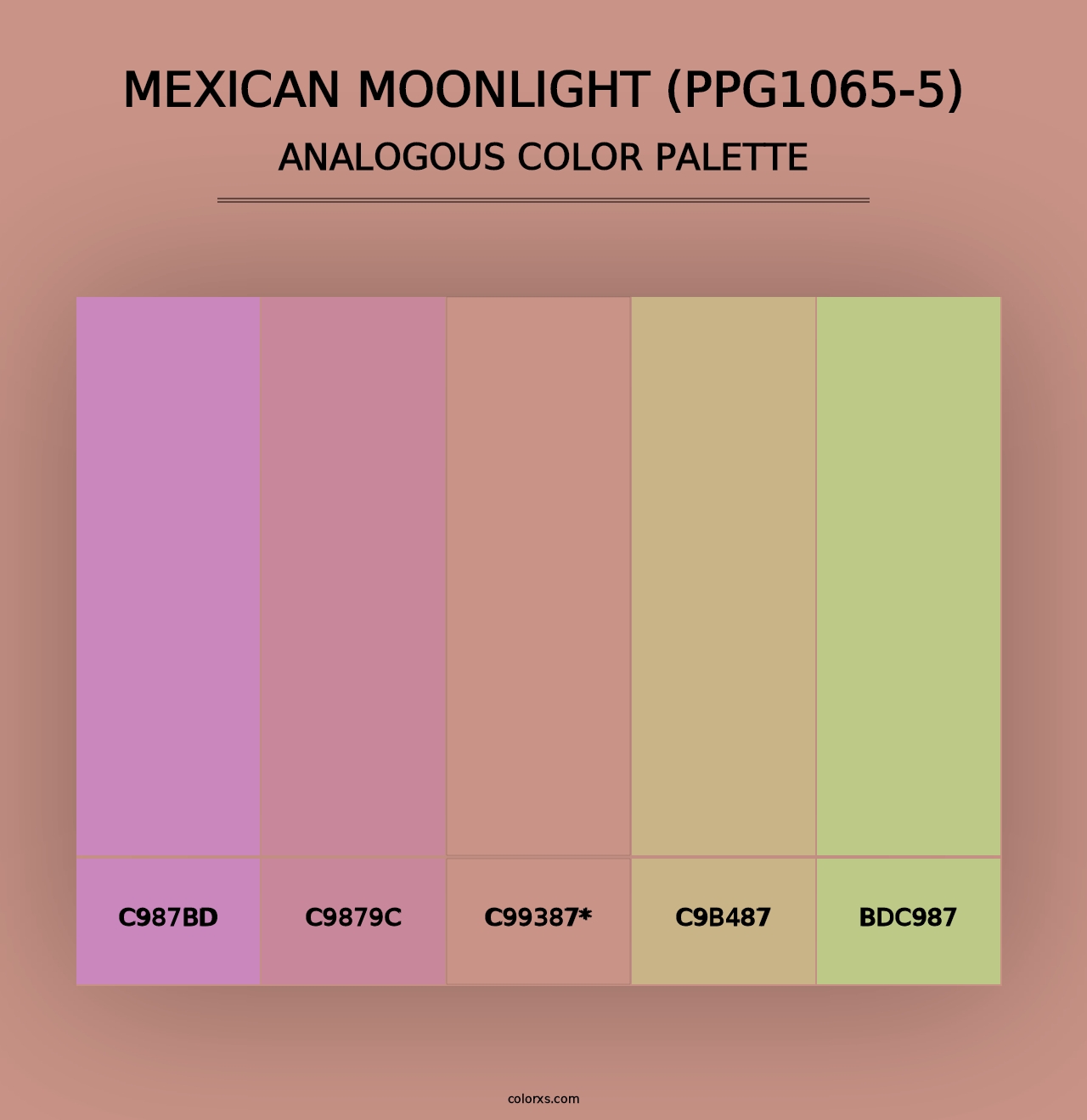 Mexican Moonlight (PPG1065-5) - Analogous Color Palette