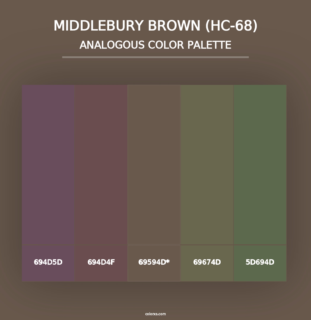 Middlebury Brown (HC-68) - Analogous Color Palette