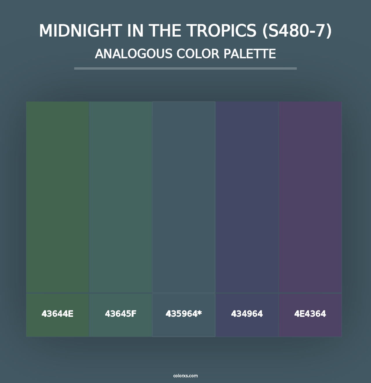 Midnight In The Tropics (S480-7) - Analogous Color Palette